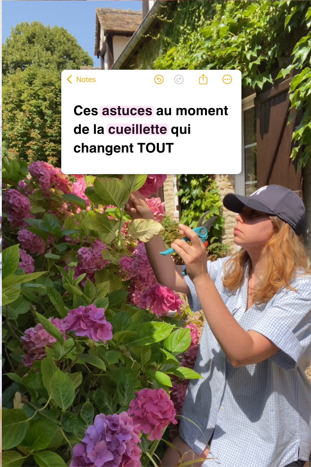 Comment bien cueillir les fleurs pour les presser et faire un herbier