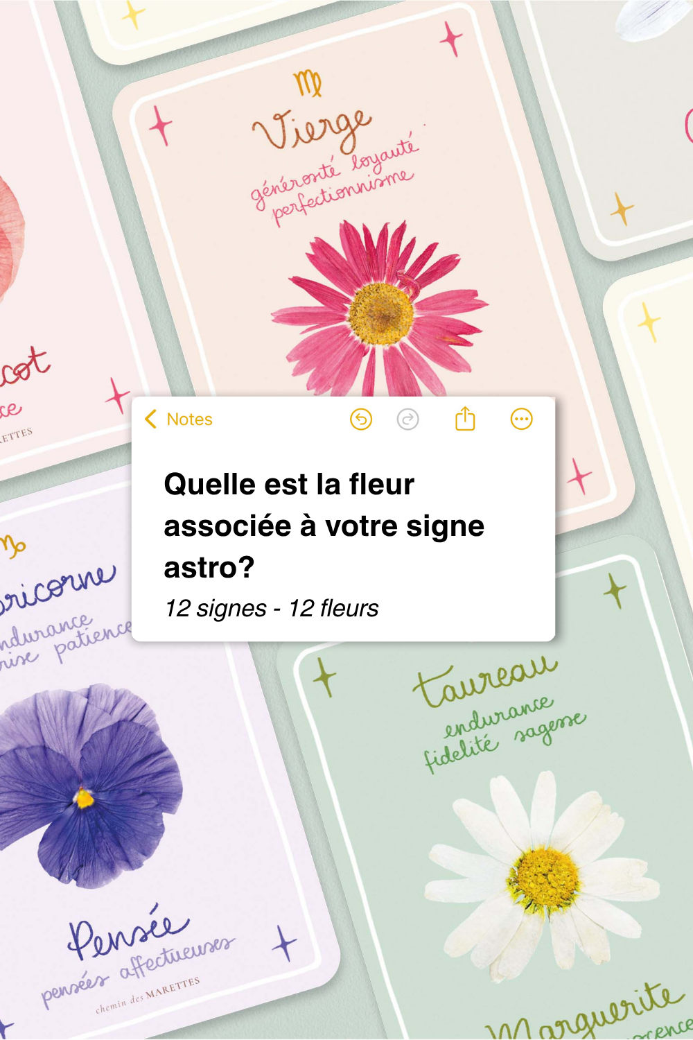 Floroscope : Quelle fleur correspond à votre signe astrologique ?