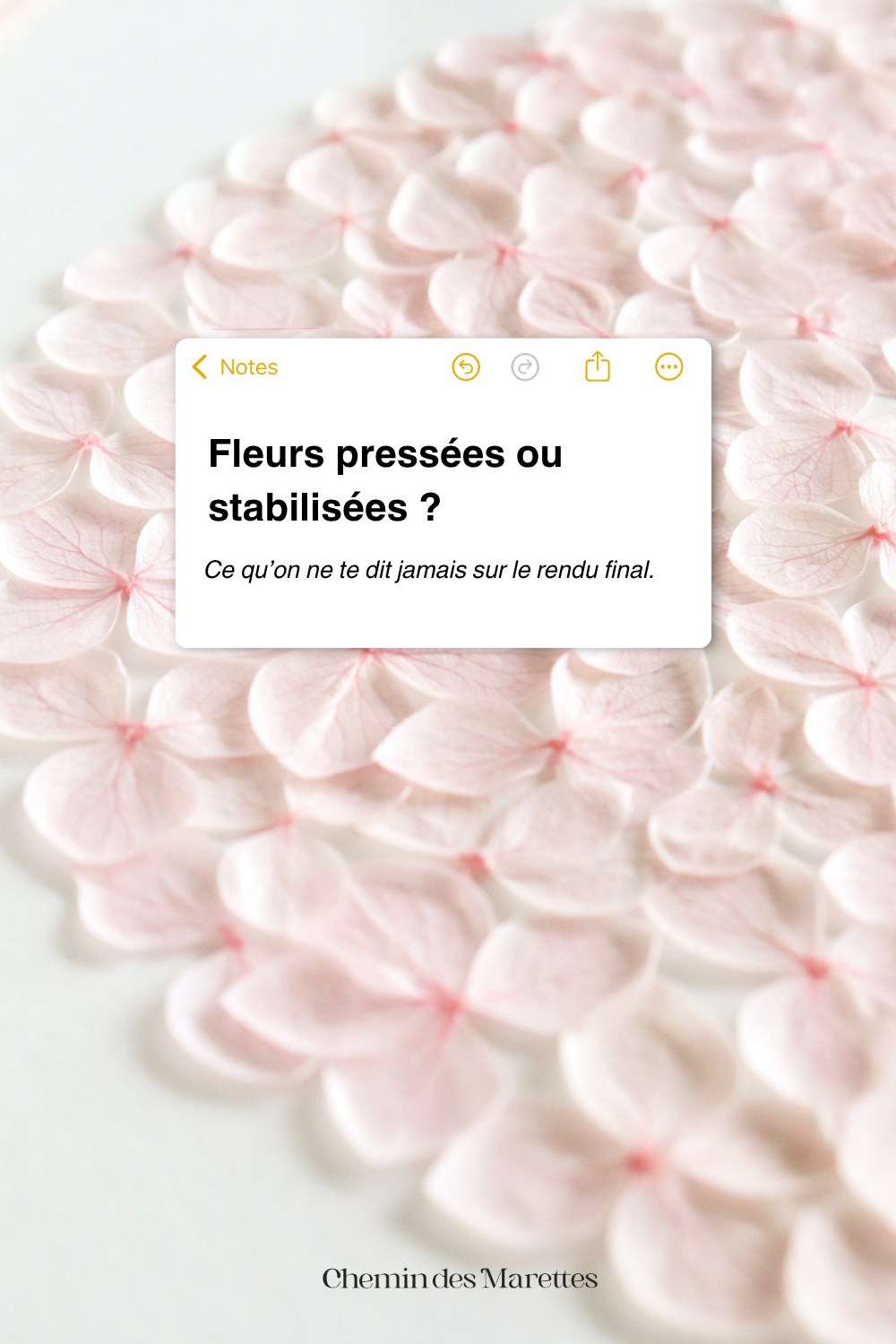 Pressée, teintée ou stabilisée : quelle fleur choisir tes créations ?