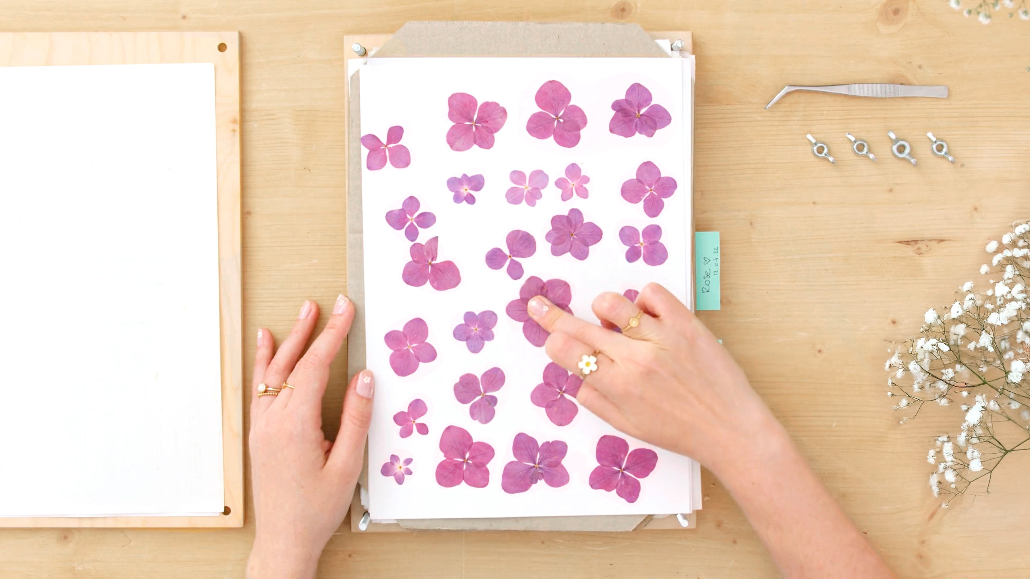 Comment bien utiliser une presse à fleurs