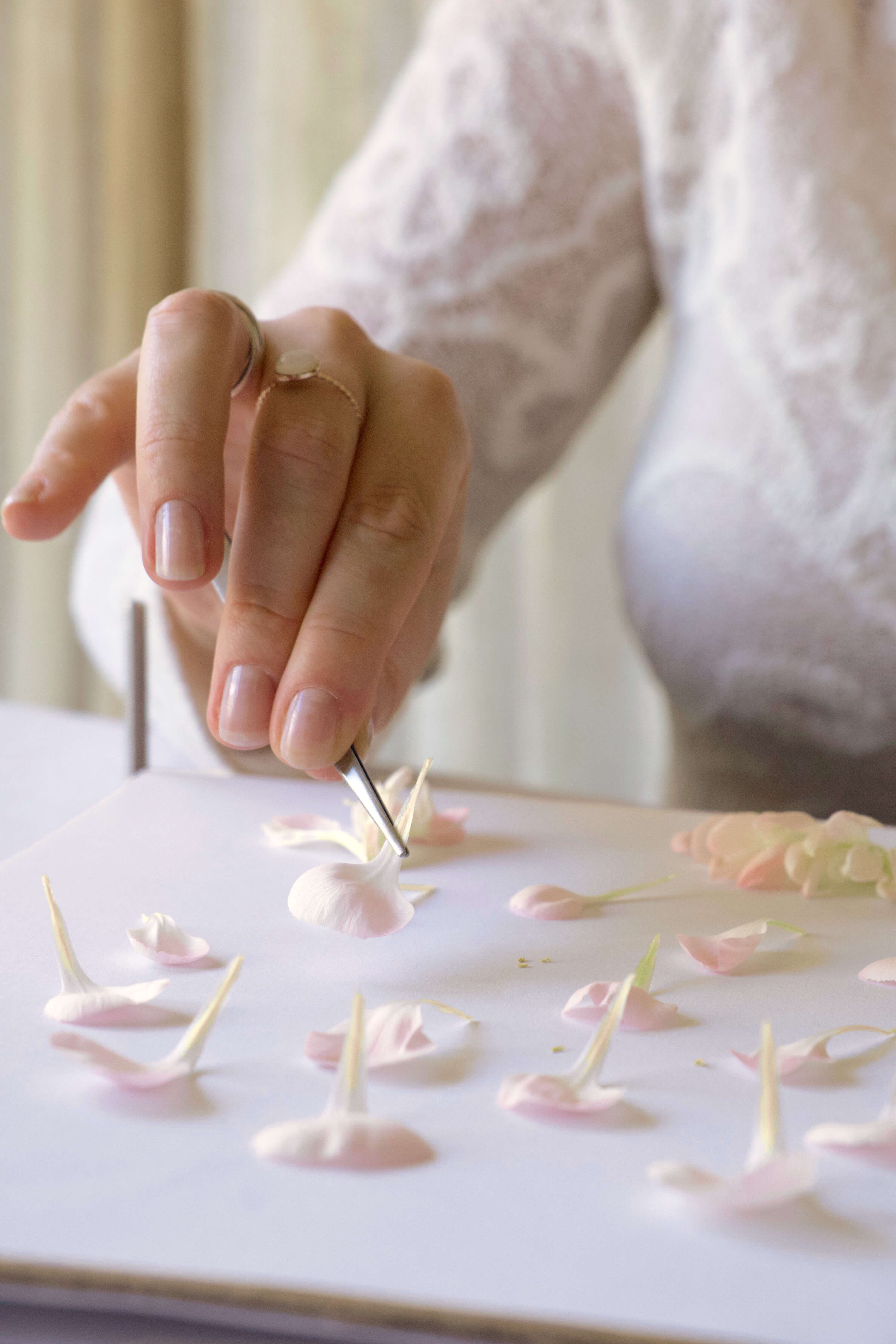 Comment presser des fleurs : la technique