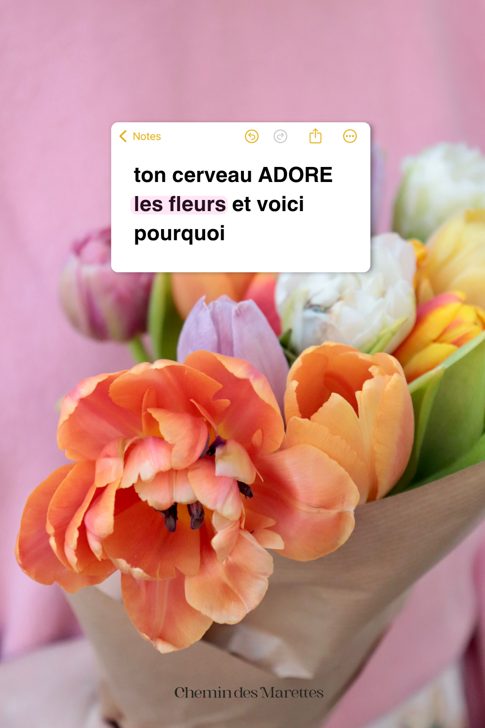 Pourquoi les fleurs apaisent vraiment (et pourquoi ça marche aussi sur toi)