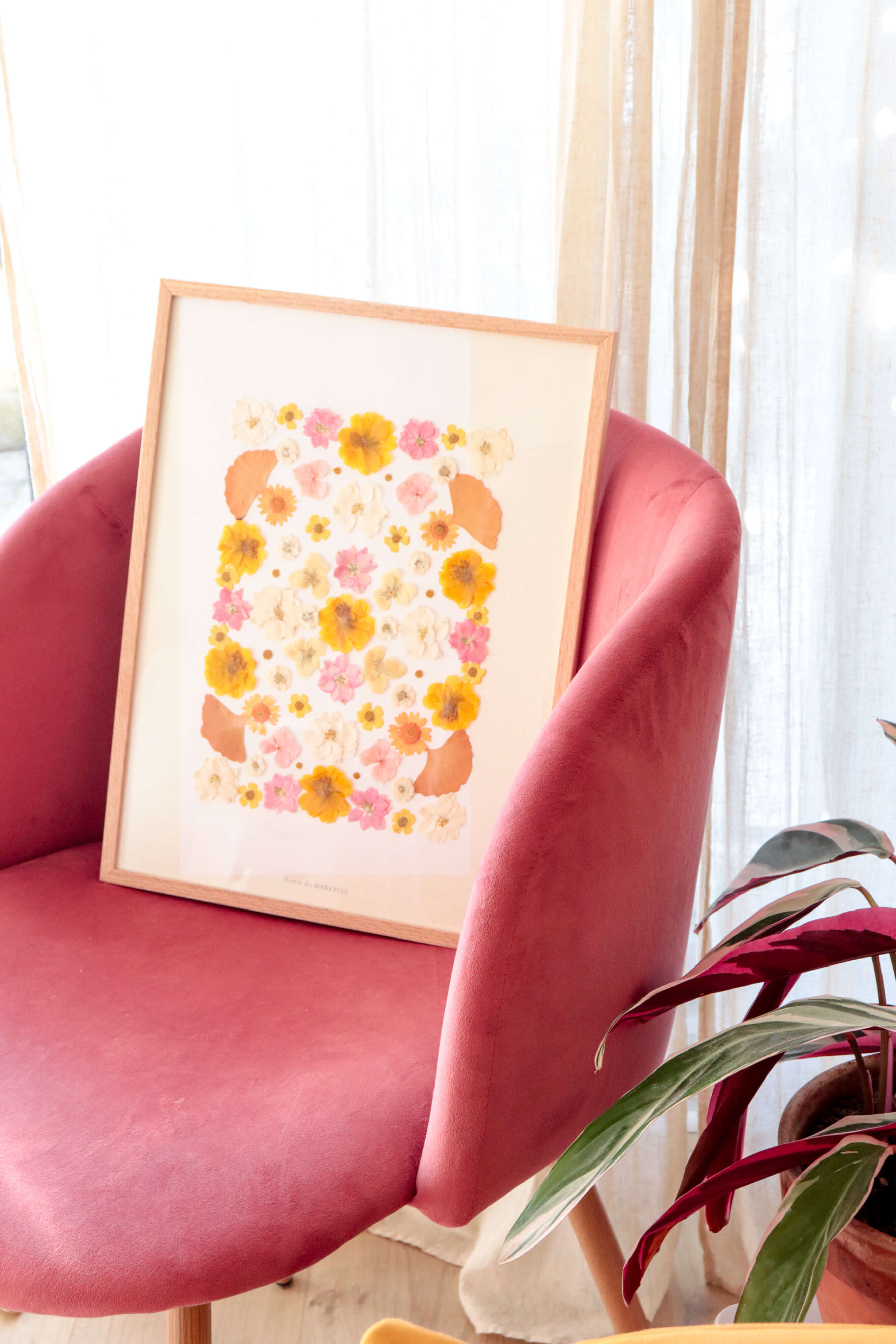 Collection herbiers de fleurs pressées compositions botaniques artisanales