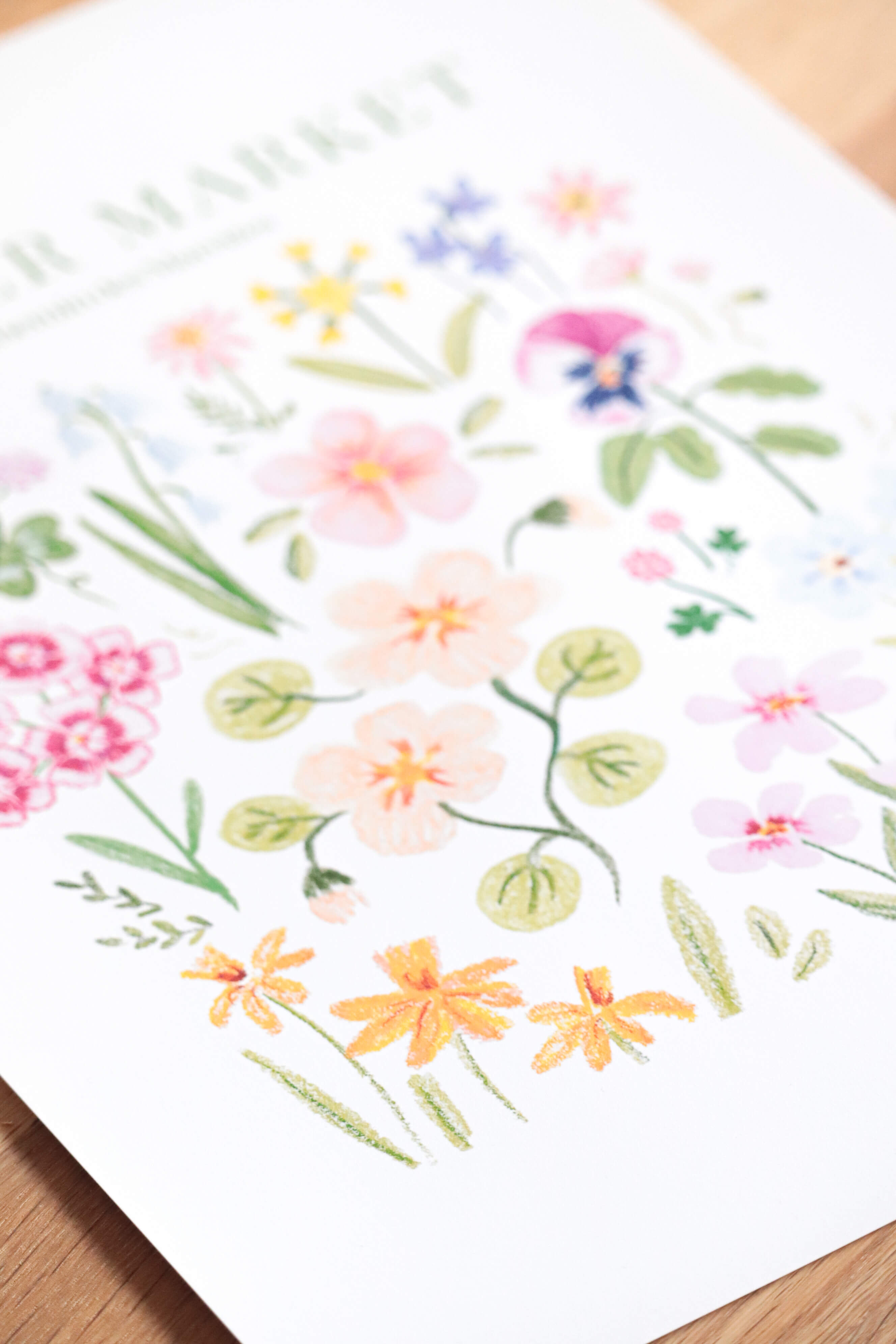 Détails Affiche illustrée  flower market - , illustration fleurie au pastels, fleur de capucine, art print décoration botanique de Chemin des Marettes 