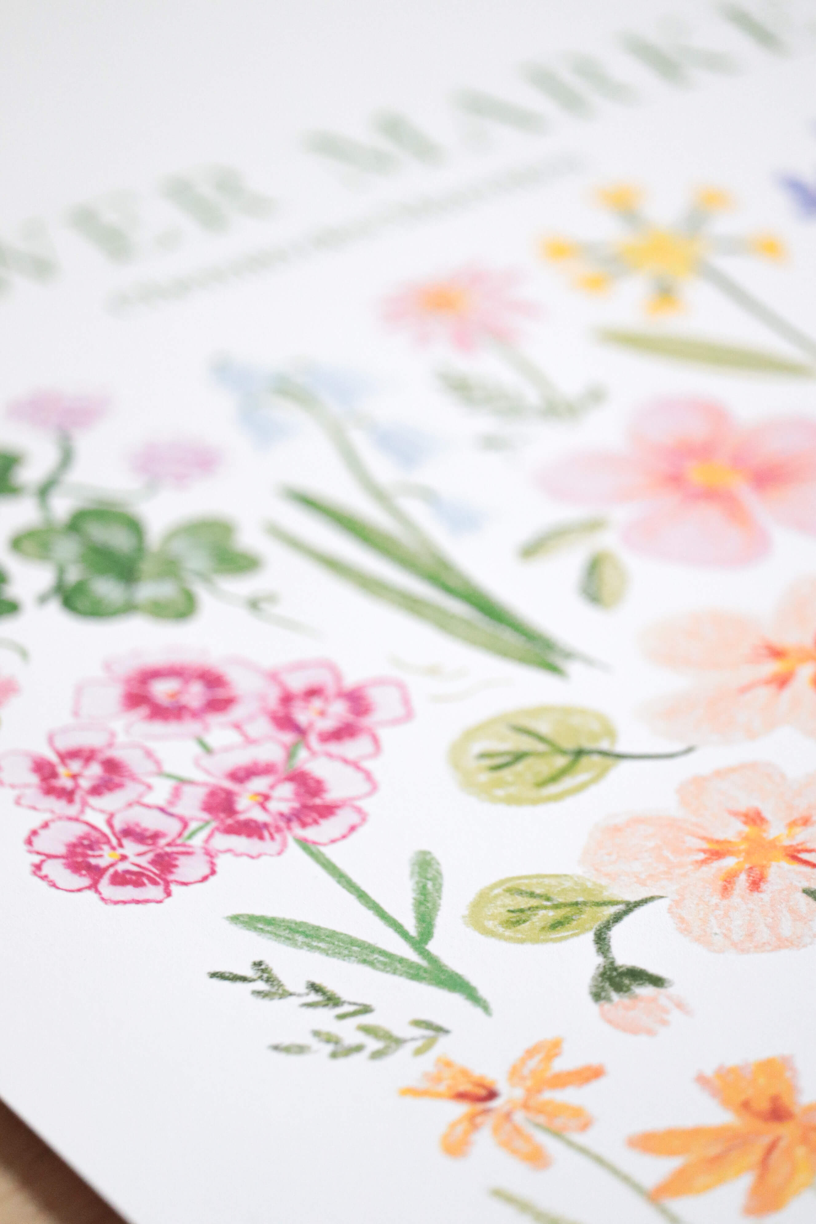 Affiche illustrée  flower market - , illustration fleurie au pastels , art print décoration botanique de Chemin des Marettes 