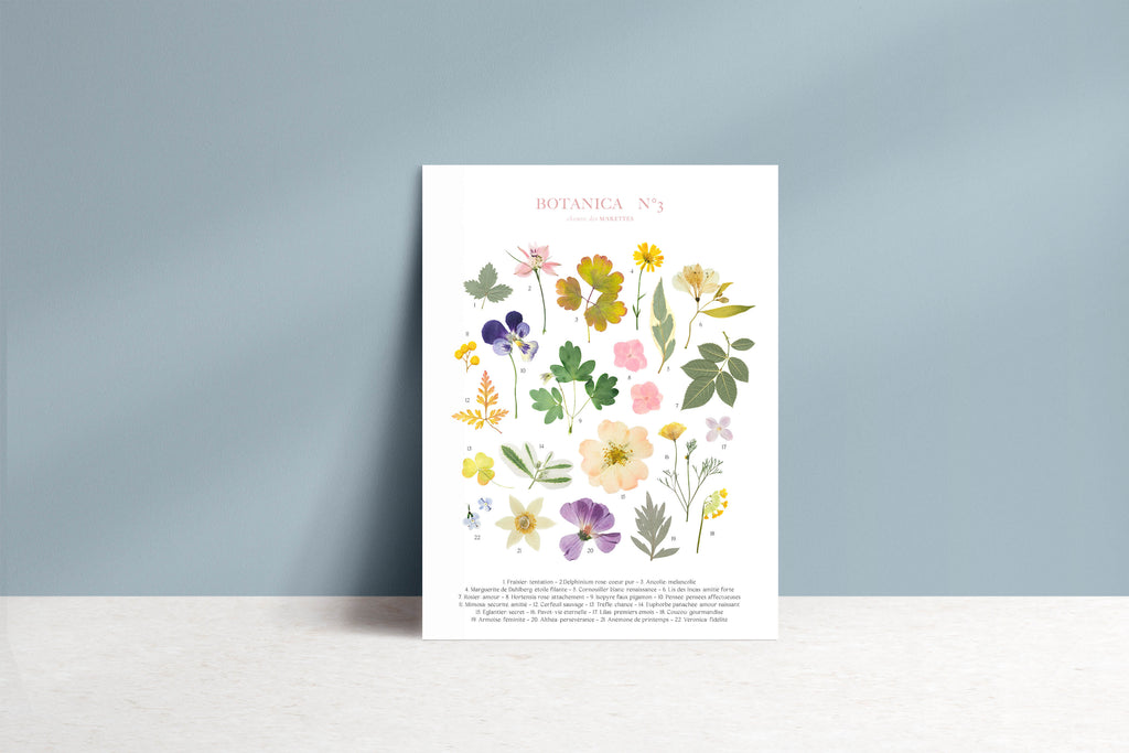 Affiche Herbier - Botanica n°3