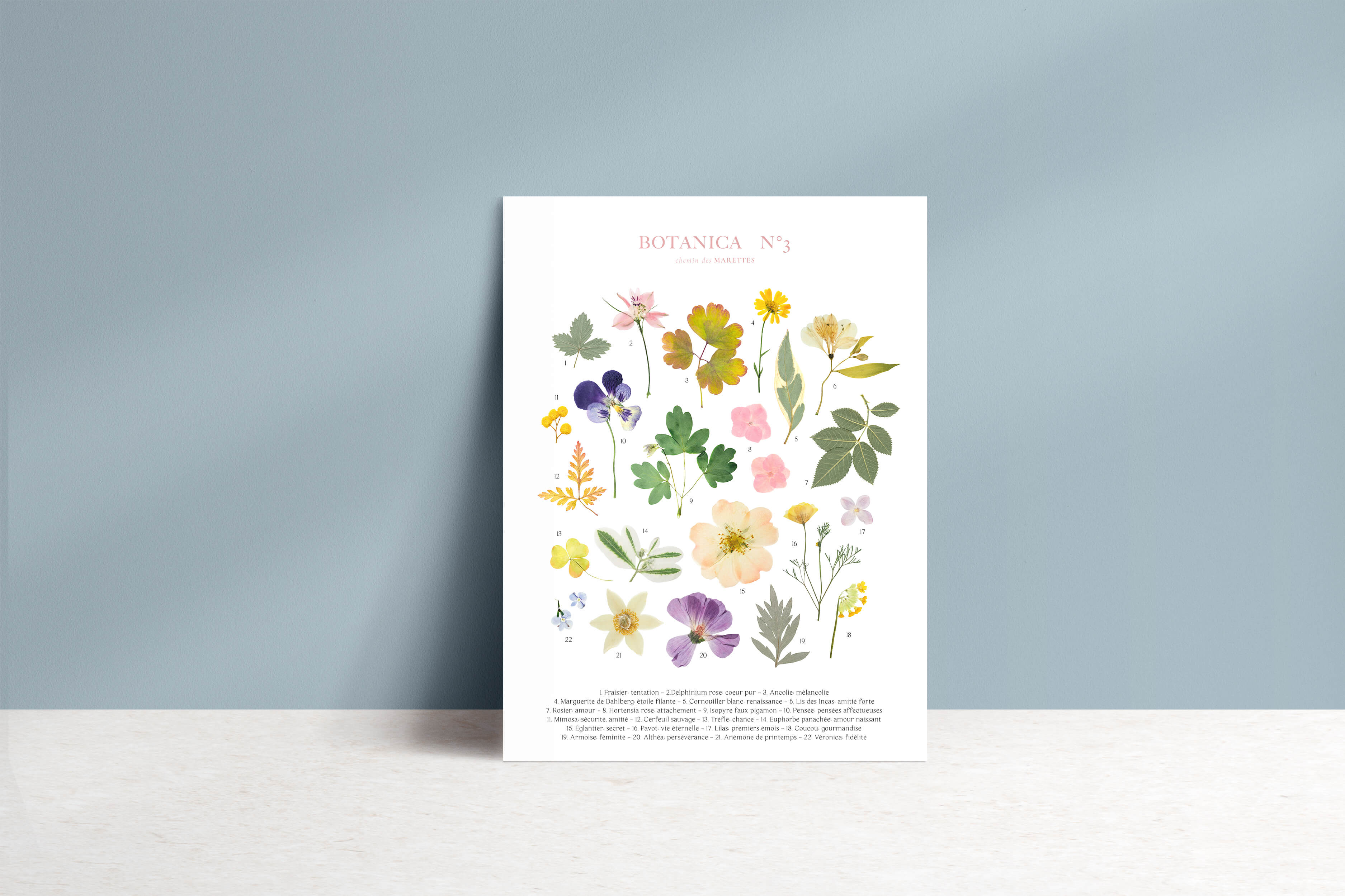 Affiche Herbier - Botanica n°3