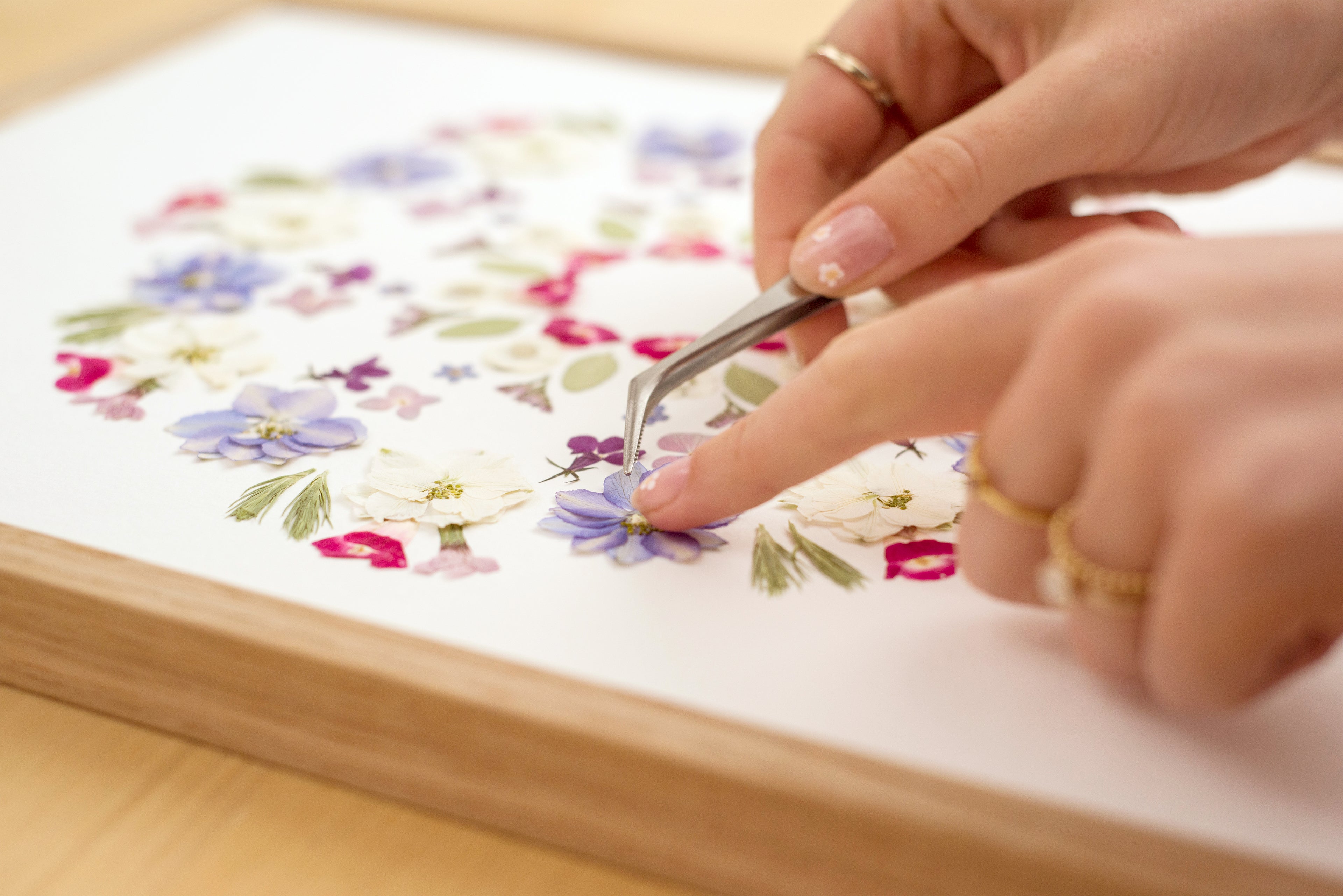 cours domestika sur l'herbier