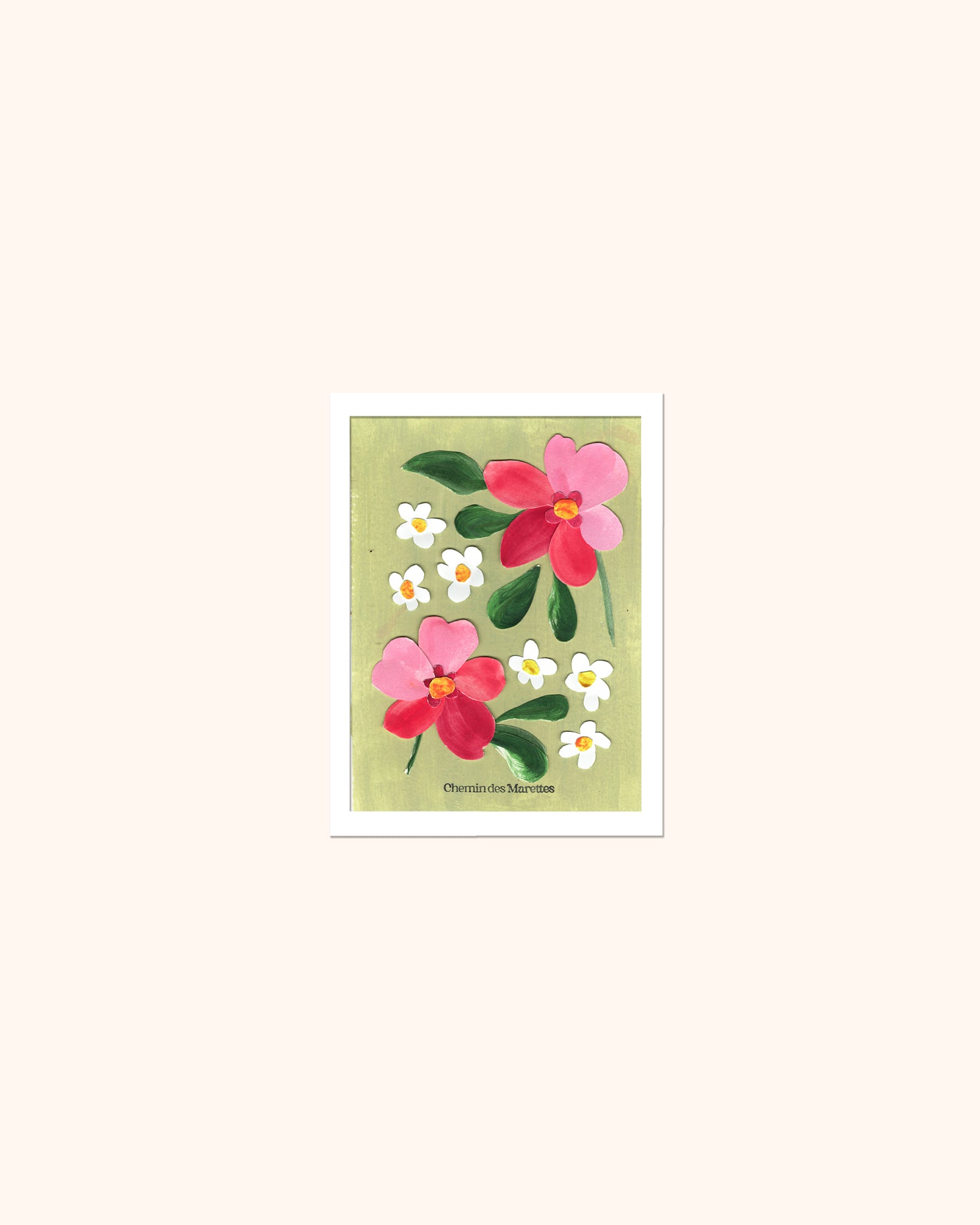 Flora - Herbier de papier