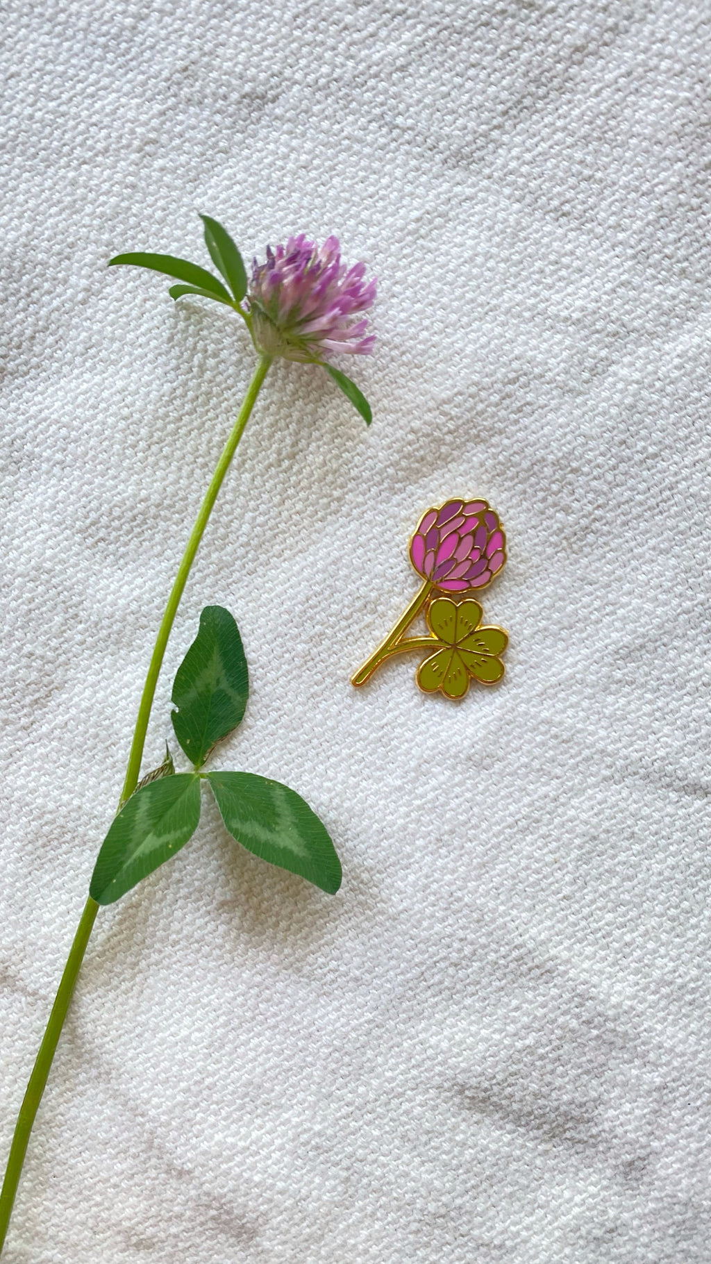 Pin's Trèfle Pourpre