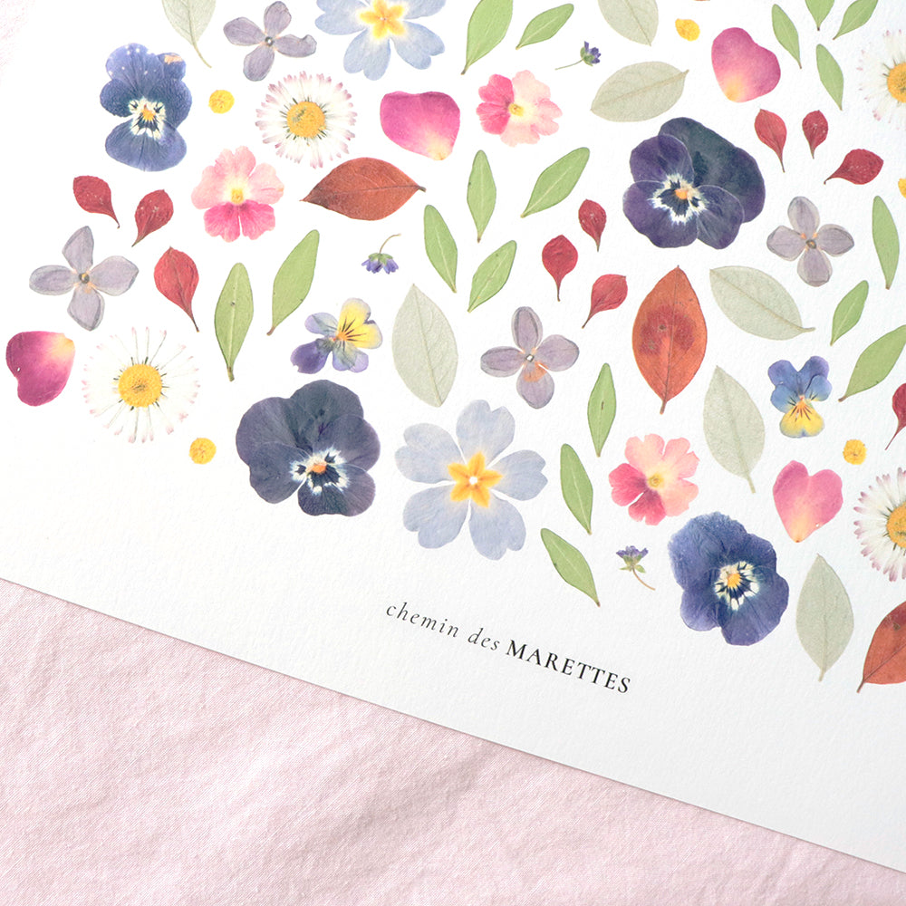 Affiche Herbier - Bouquet d’été