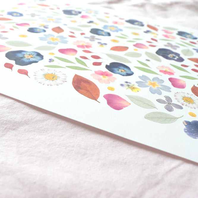 Affiche Herbier - Bouquet d’été