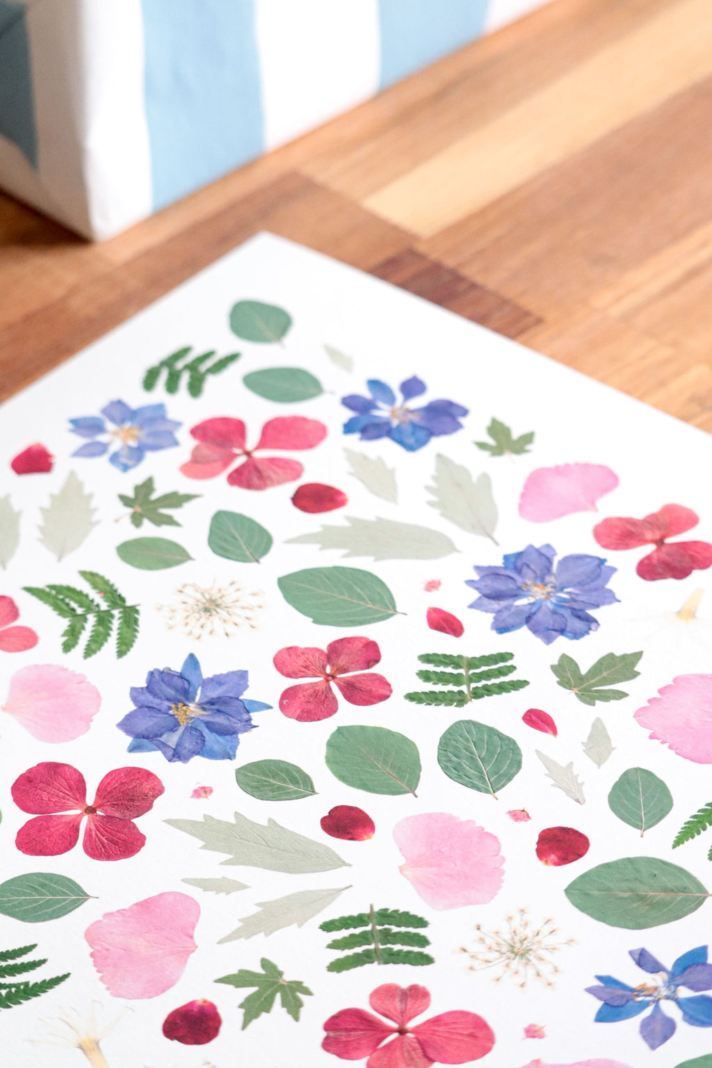 Affiche Herbier - Artémis