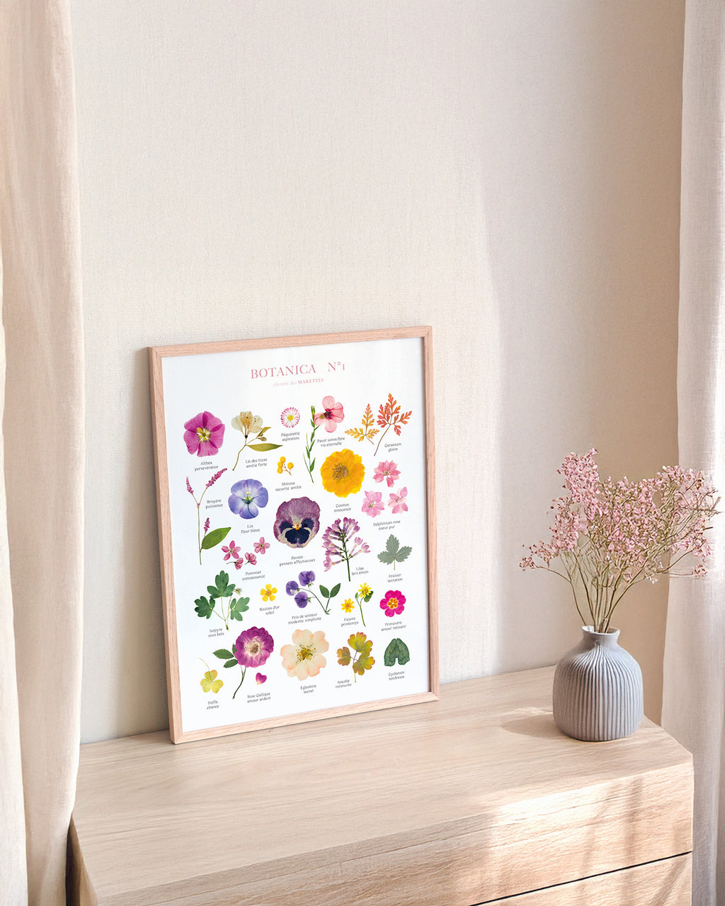 Affiche Herbier - Botanica n°1
