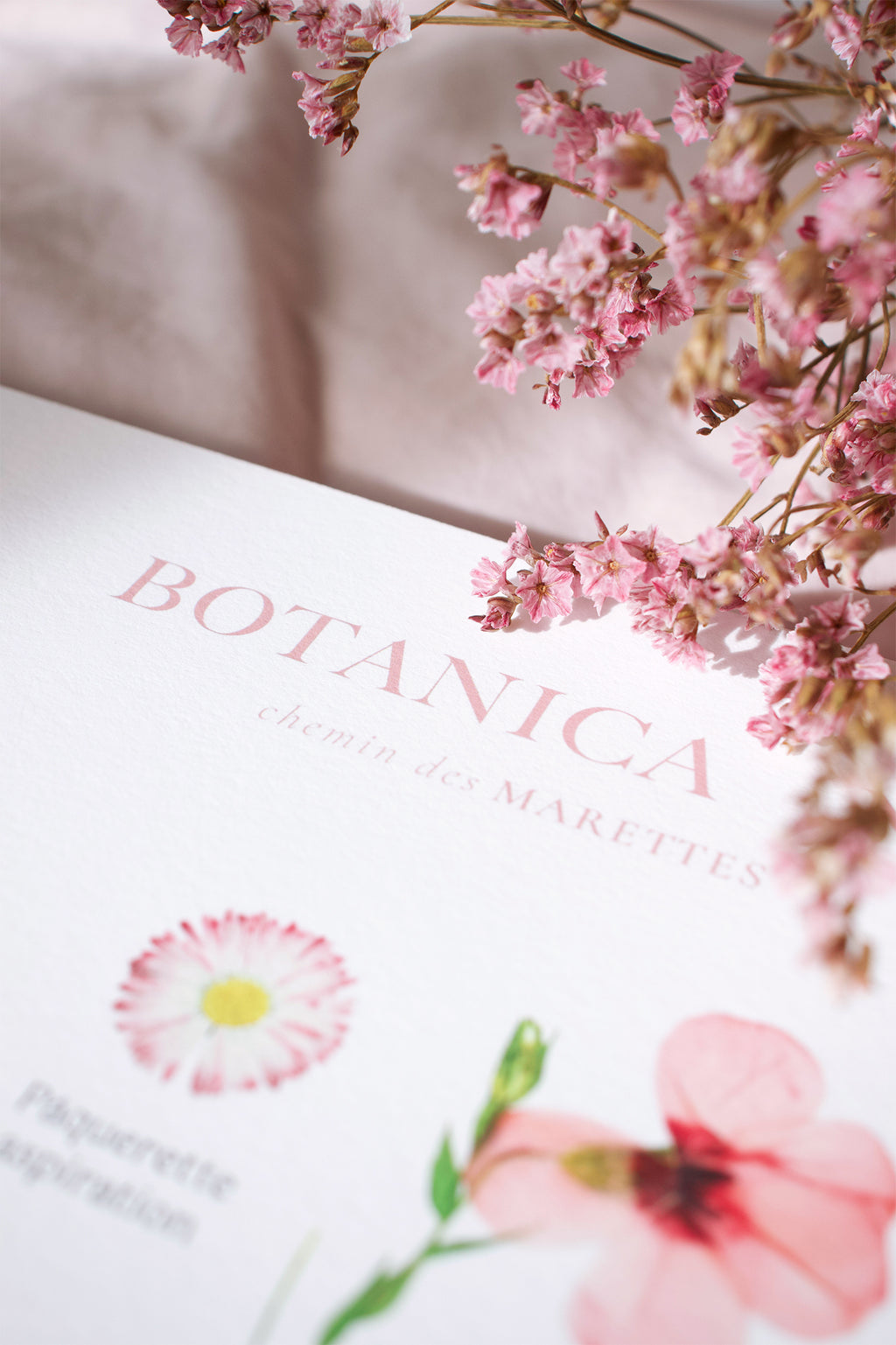 Affiche Herbier - Botanica n°1