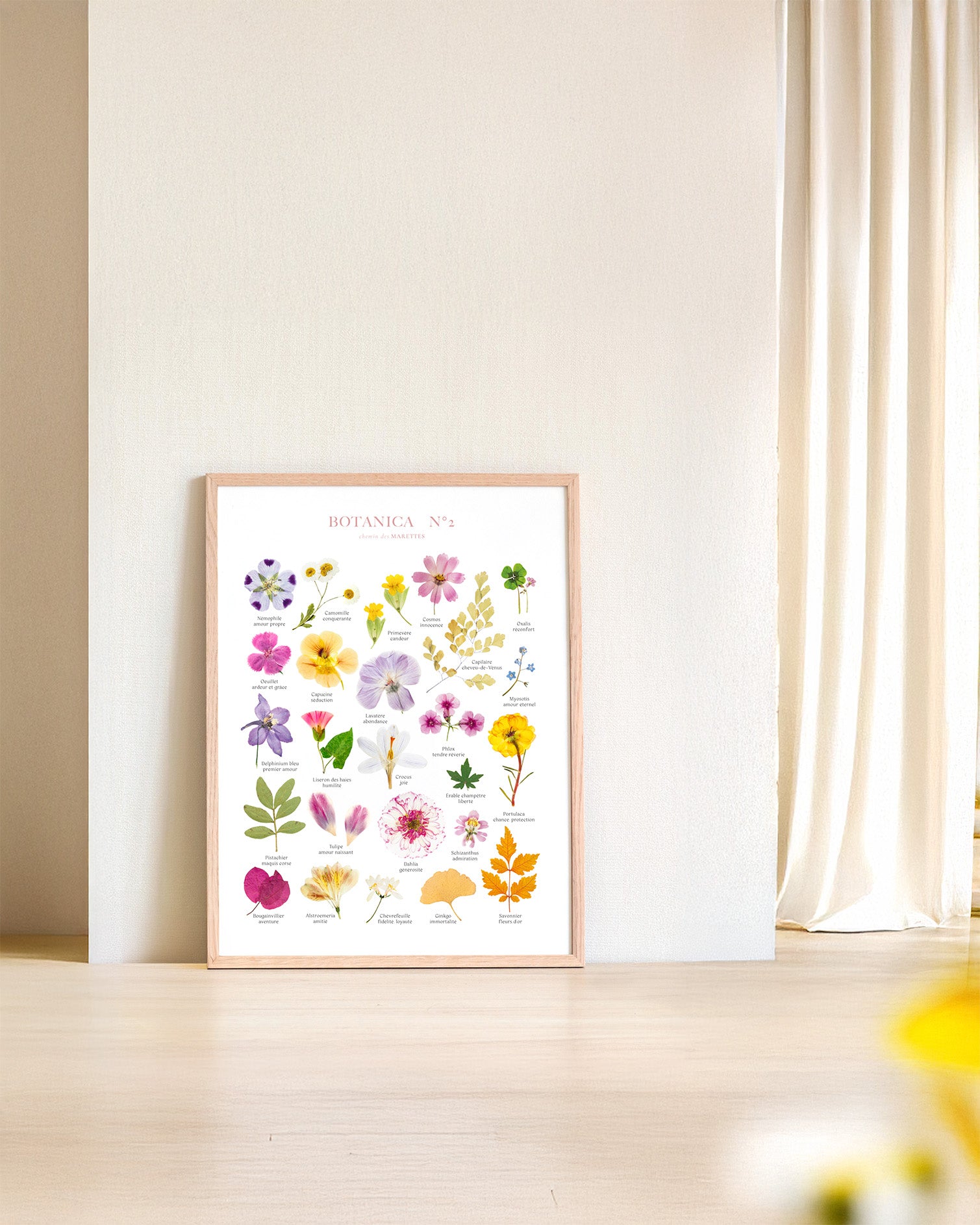 Affiche Herbier - Botanica n°2