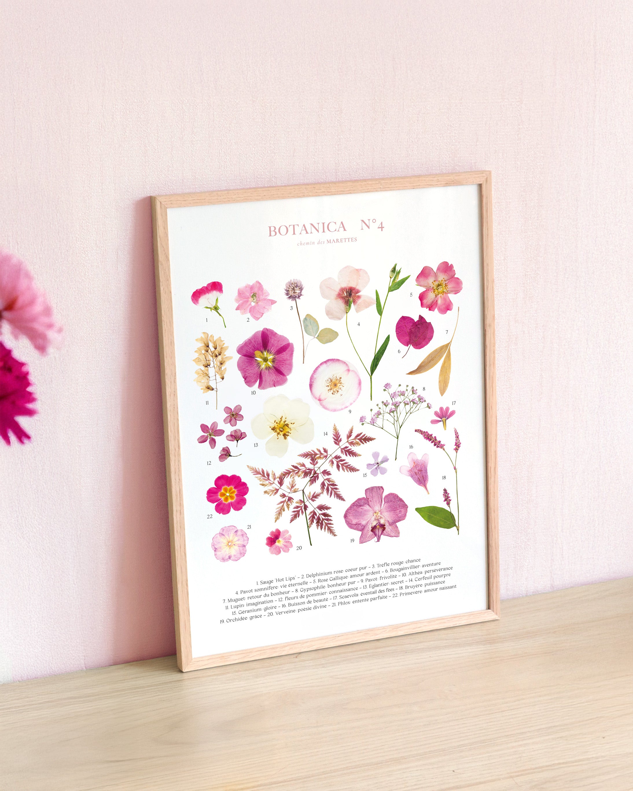 Affiche Herbier - Botanica n°4