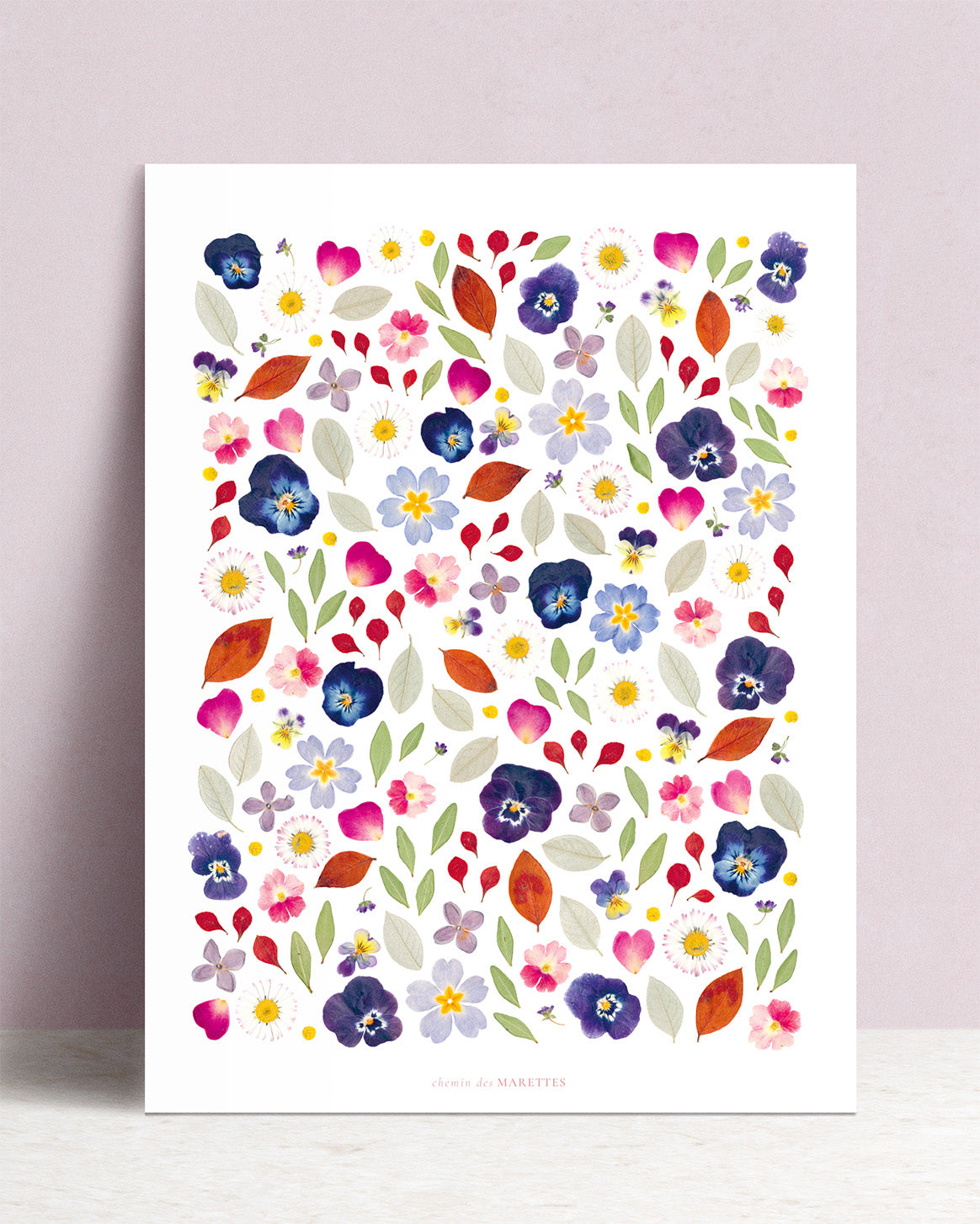 Affiche Herbier - Bouquet d’été