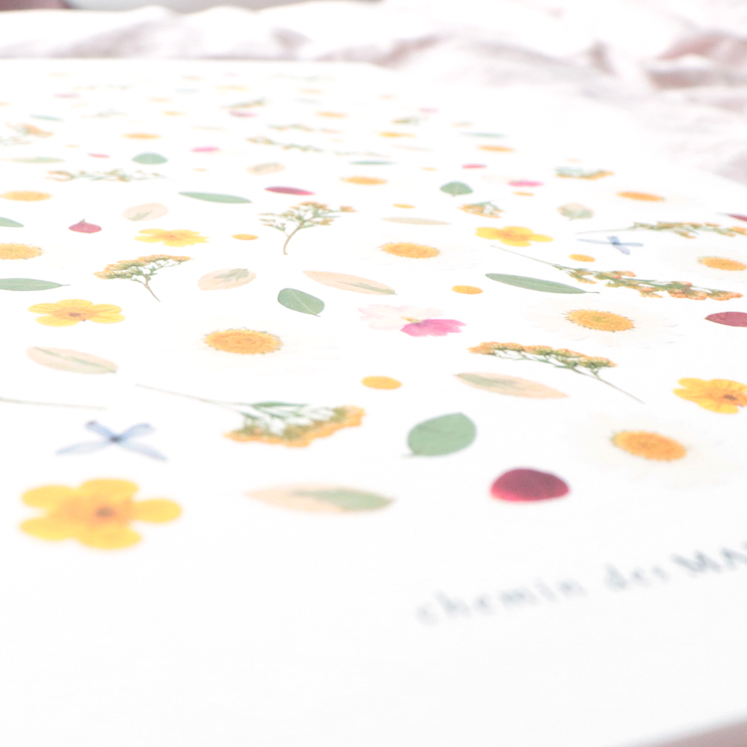 Affiche Herbier - Ensoleillée