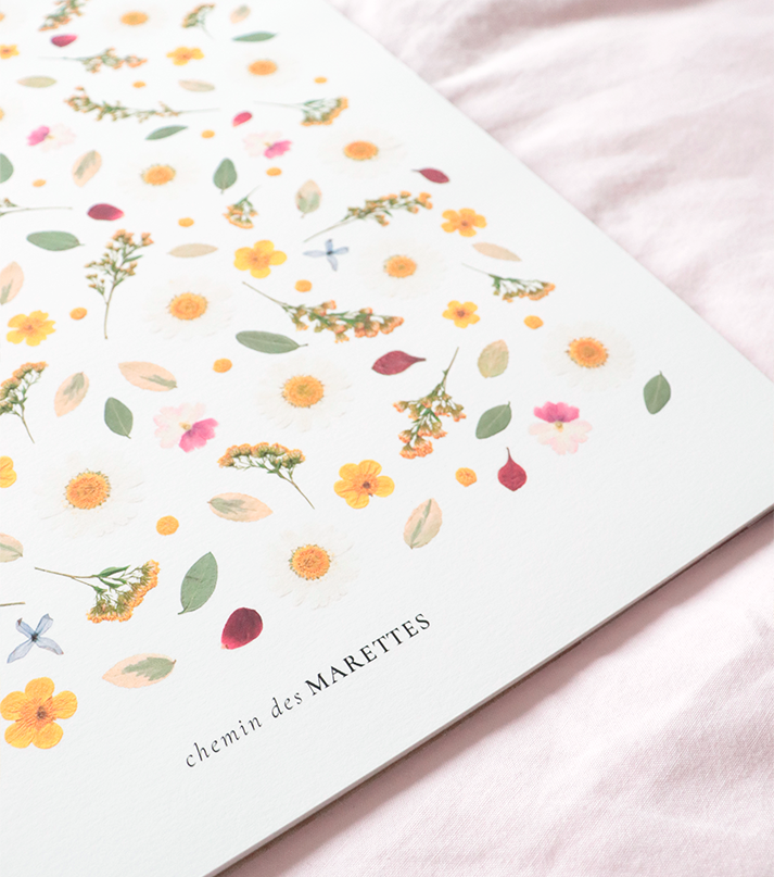 Affiche Herbier - Ensoleillée