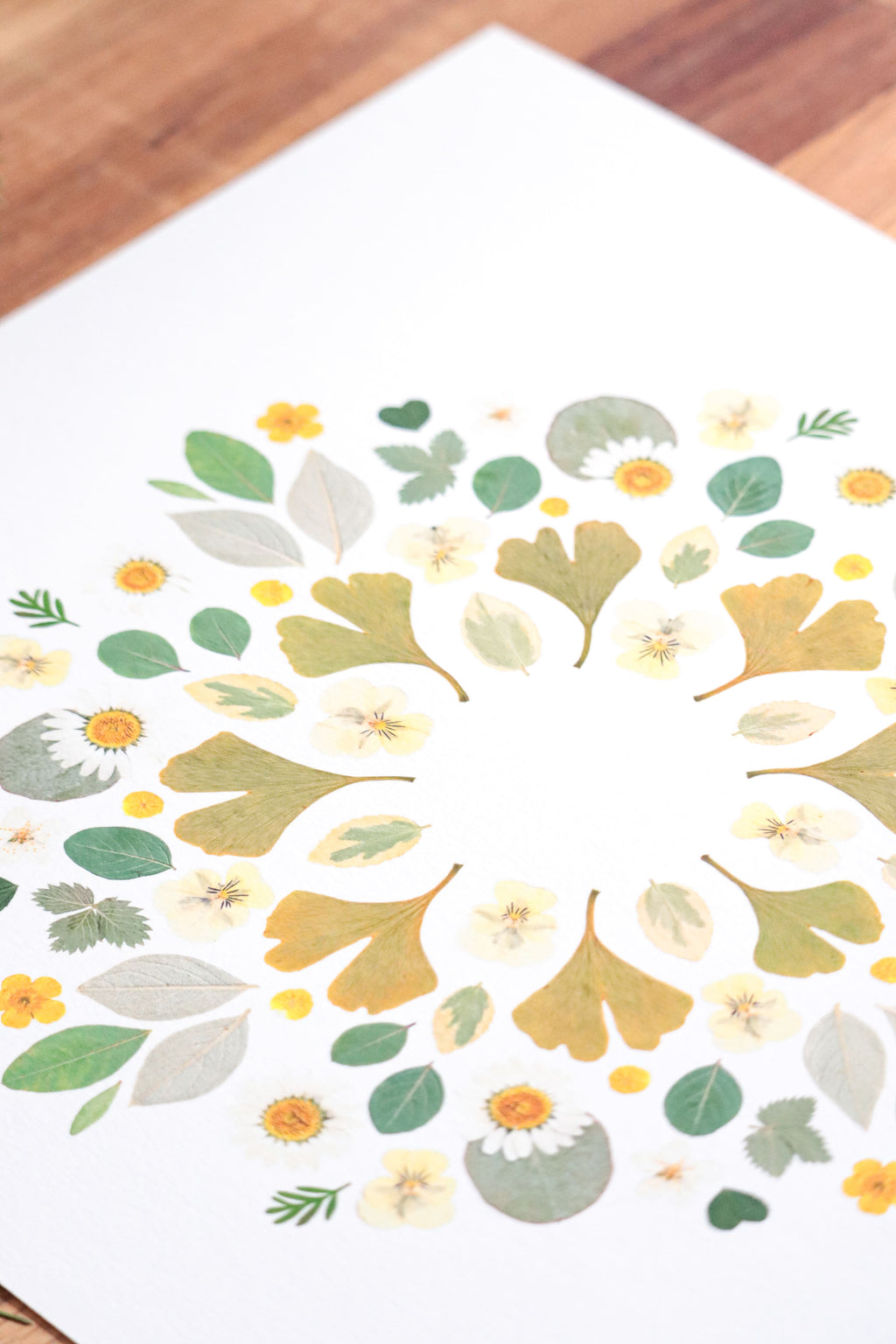 Affiche Herbier - Gaïa