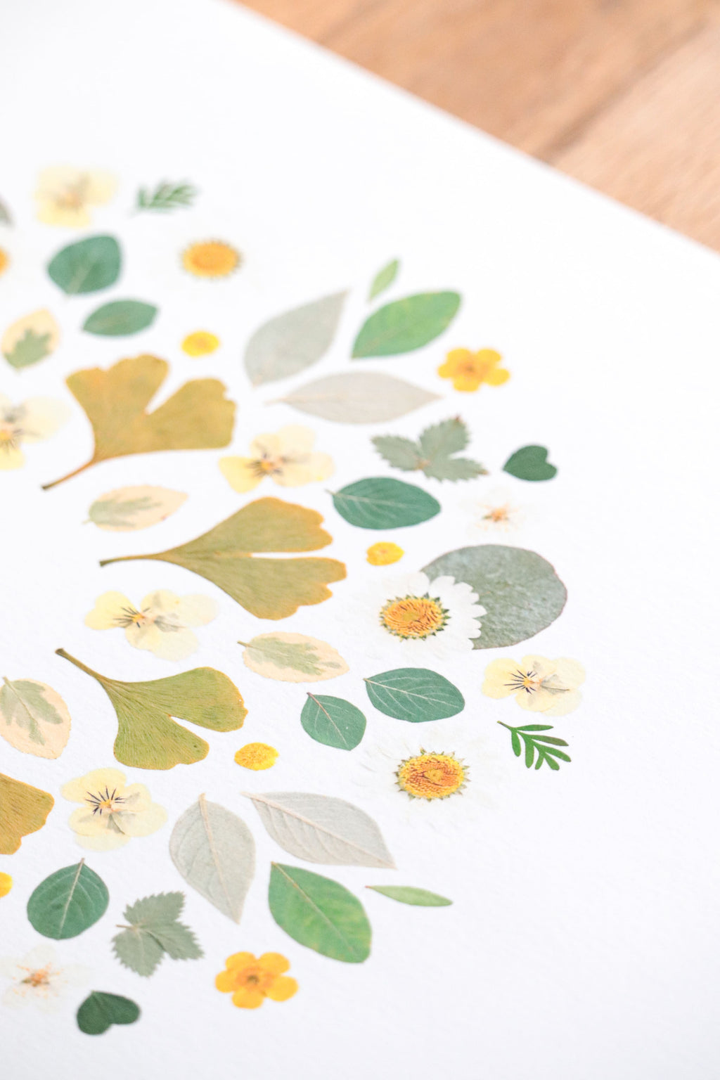 Affiche Herbier - Gaïa