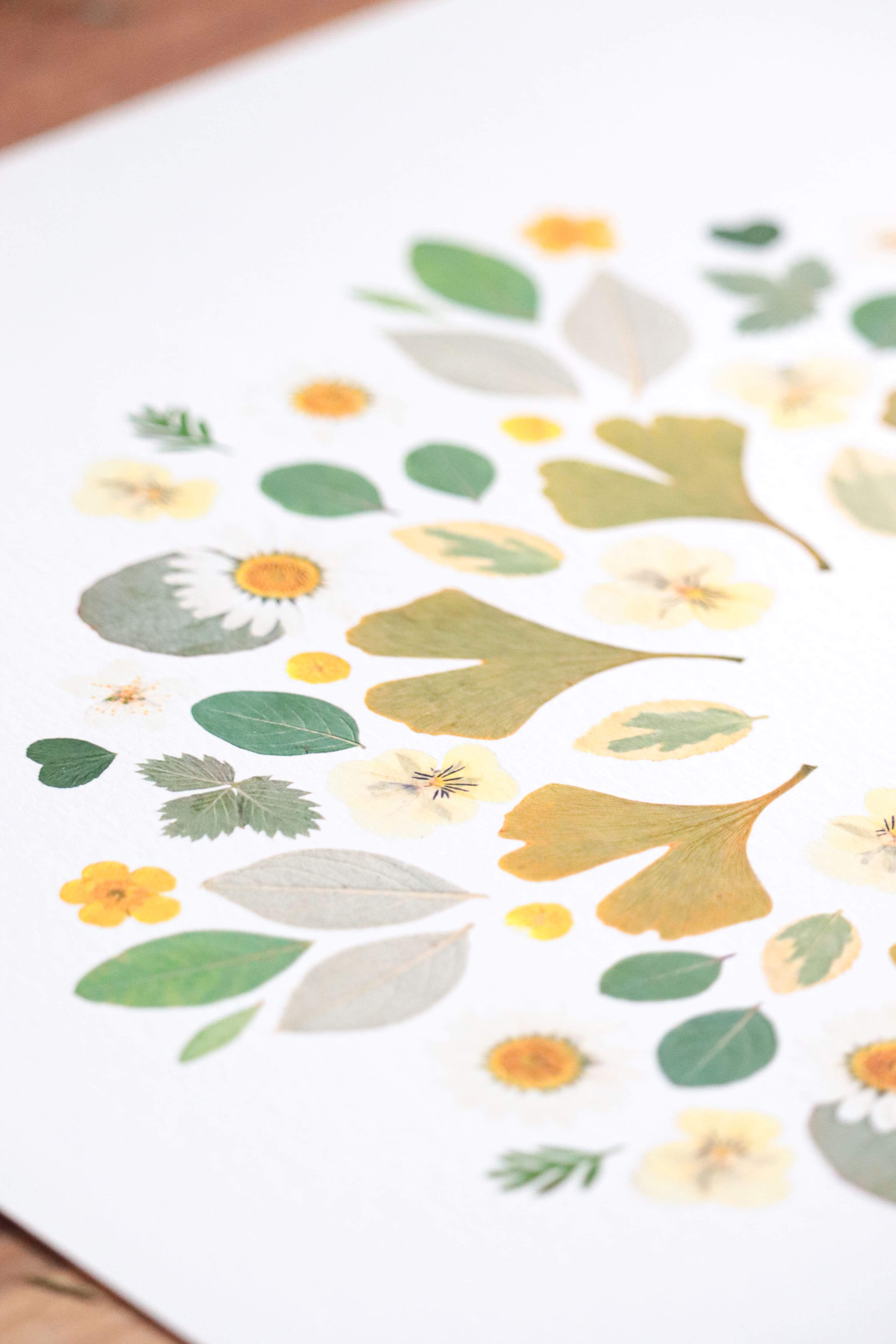 Affiche Herbier - Gaïa