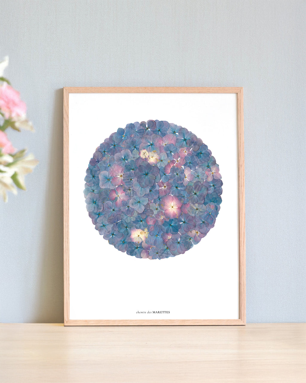 Affiche Herbier - Neptune