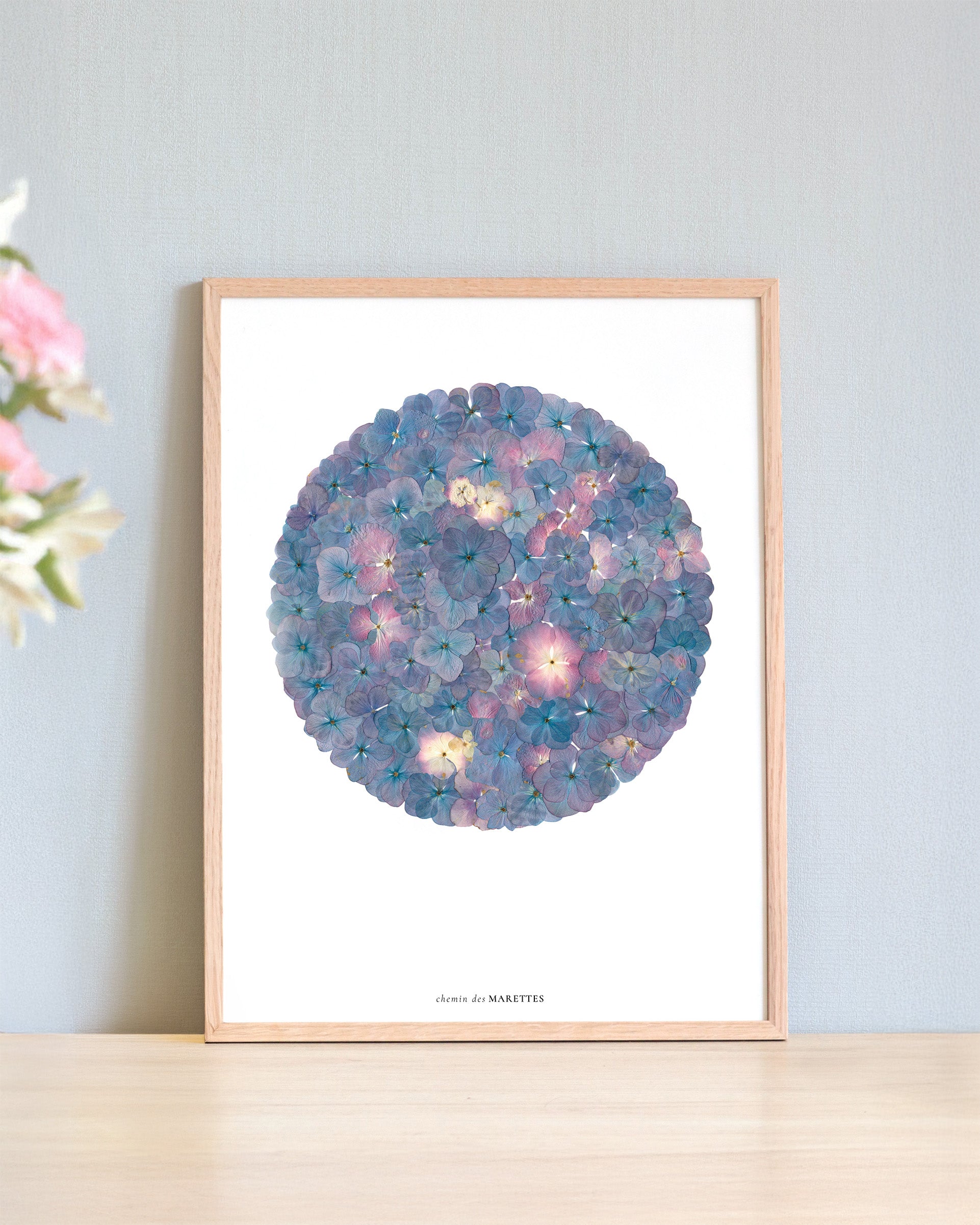 Affiche Herbier - Neptune