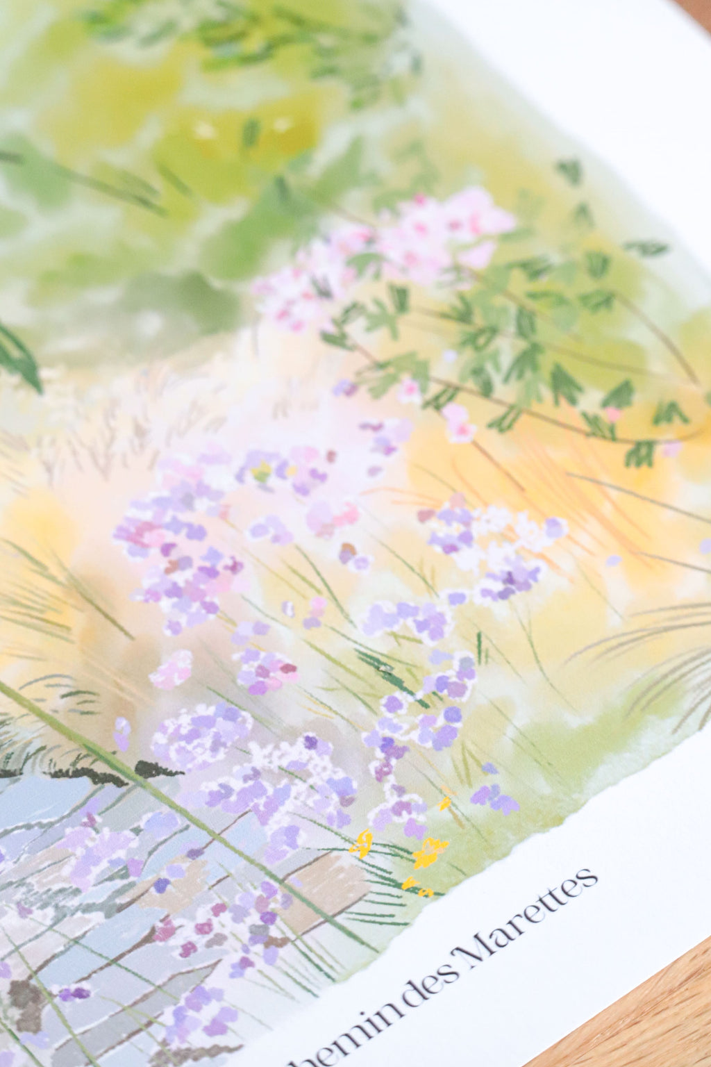 Affiche_illustree_Kassiopia_A4