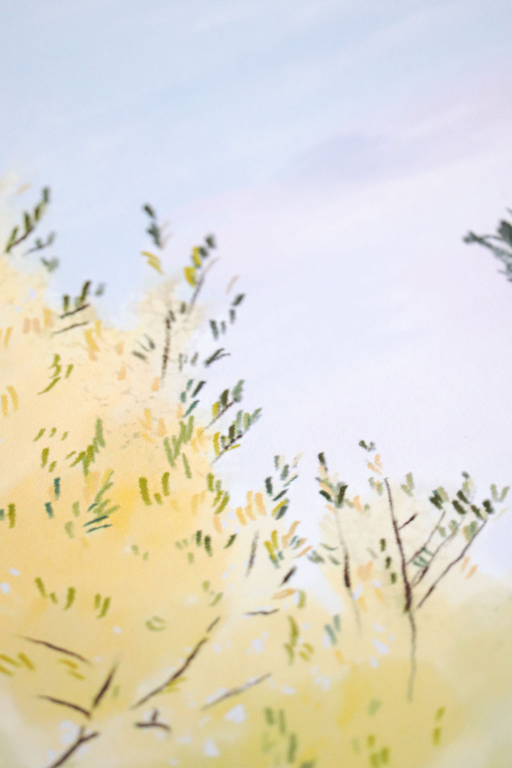 Affiche illustrée - Kassiopia