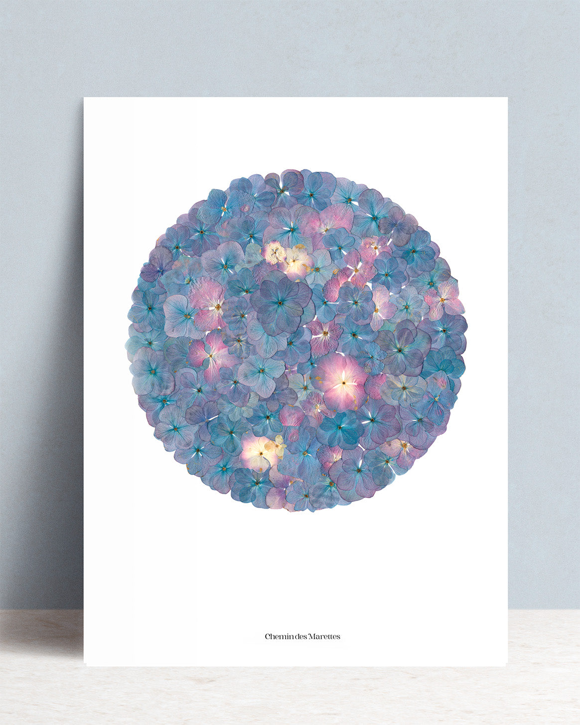 Affiche Herbier - Neptune