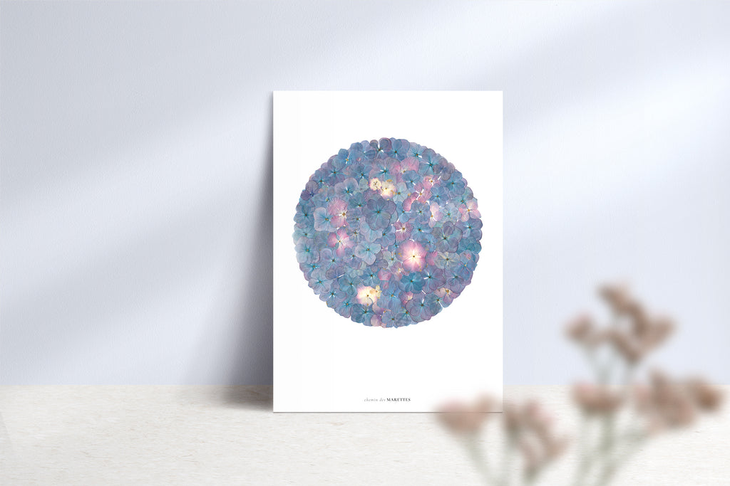 Affiche Herbier - Neptune