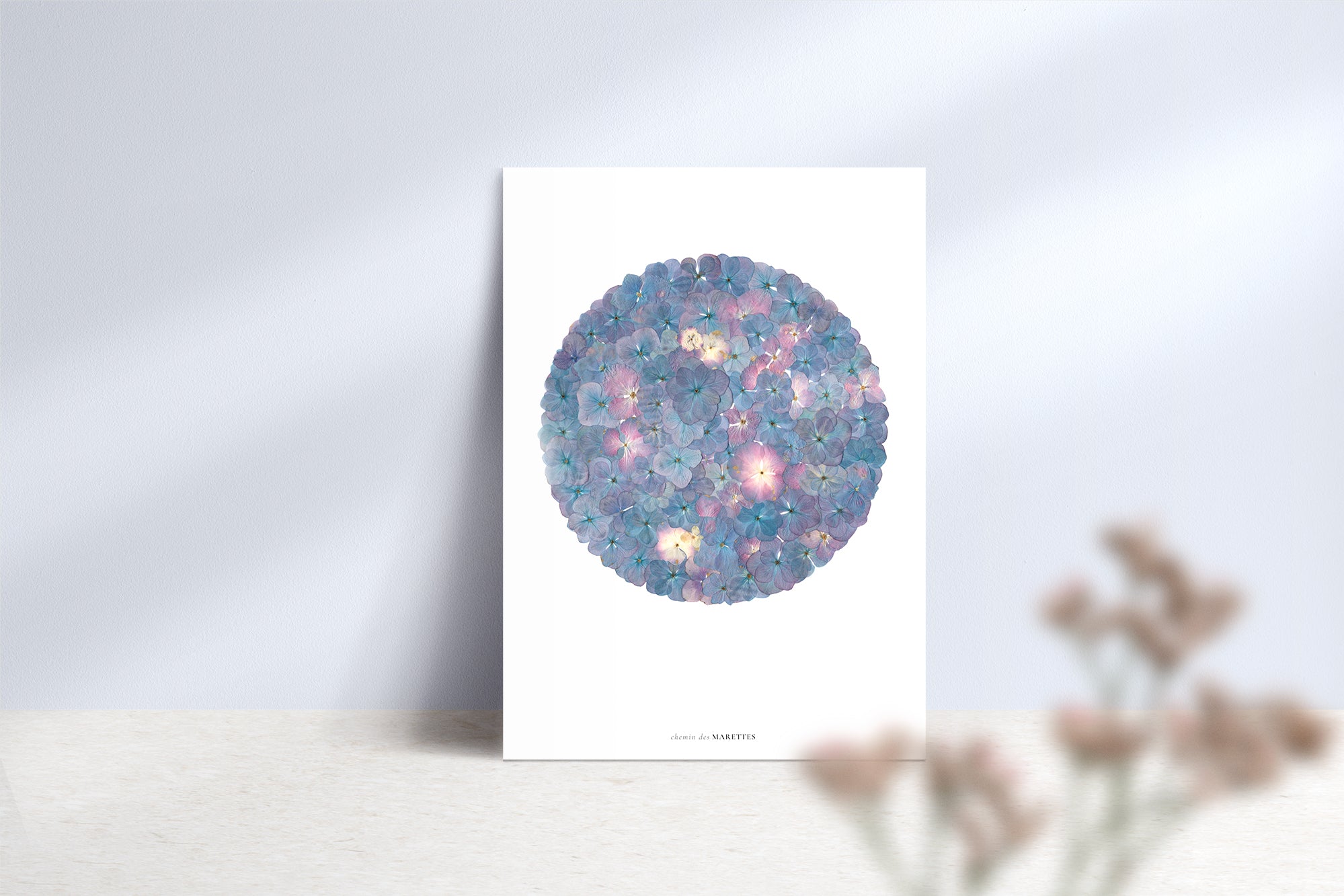 Affiche Herbier - Neptune