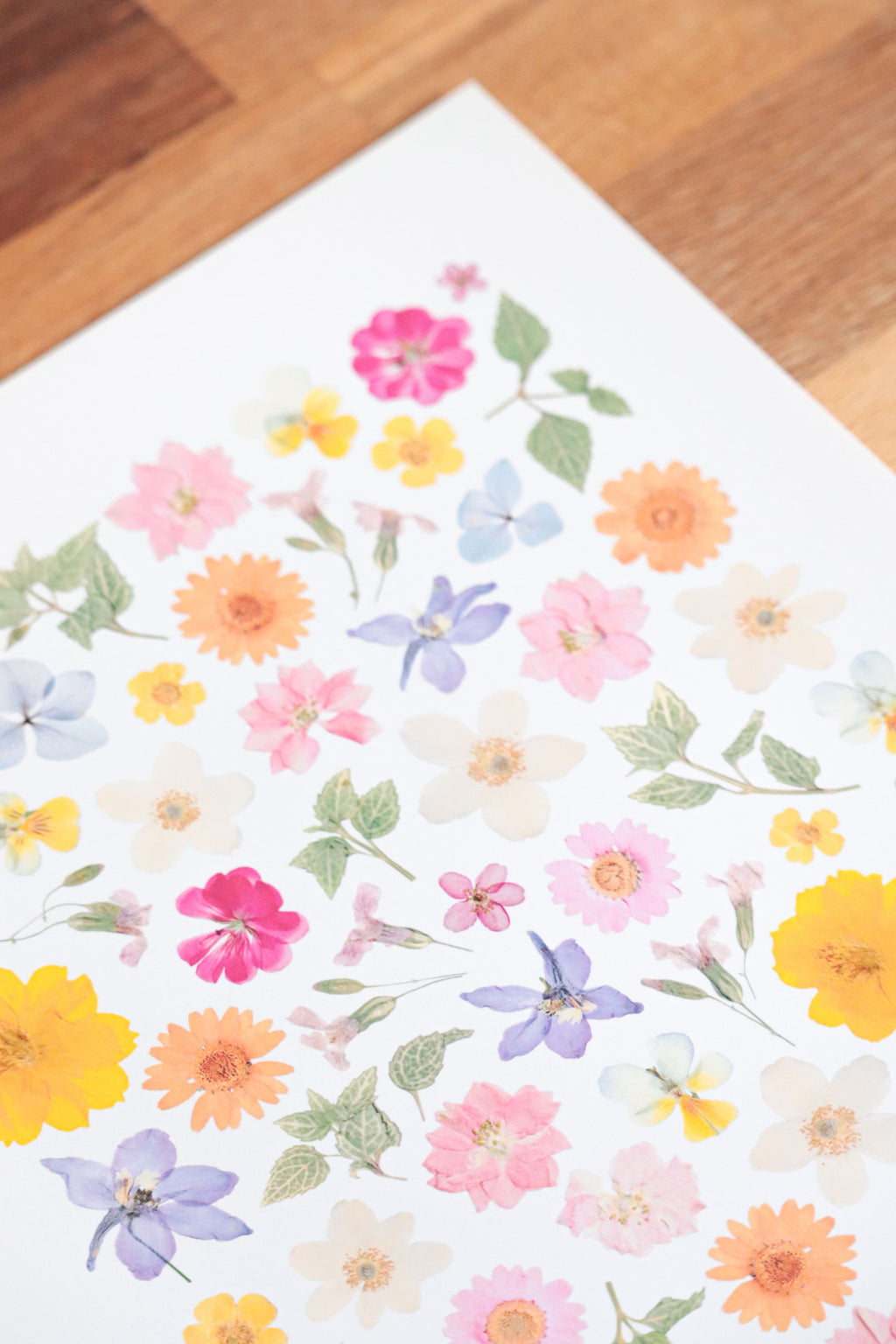 Affiche Herbier - Poème