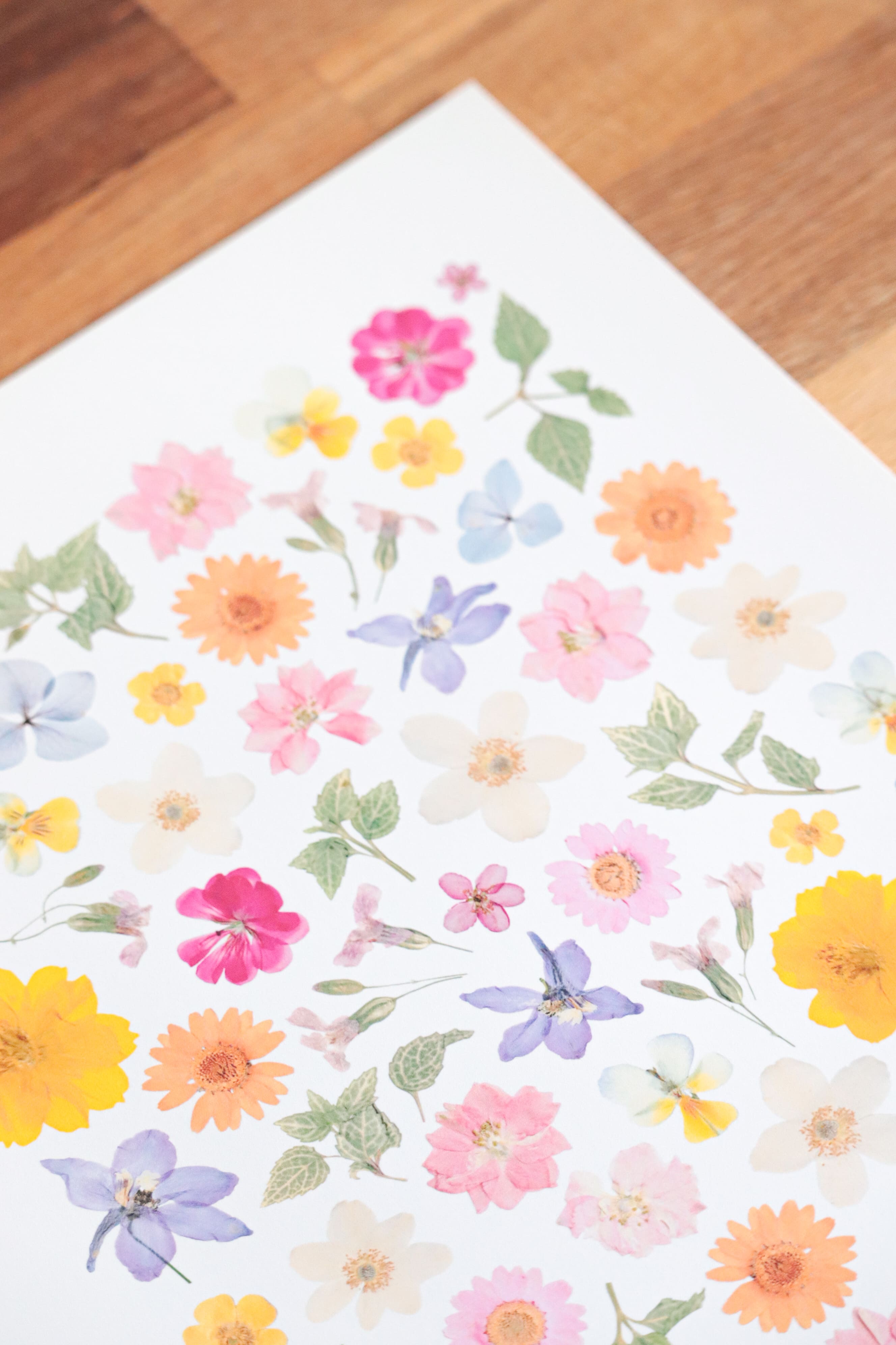 Affiche Herbier - Poème