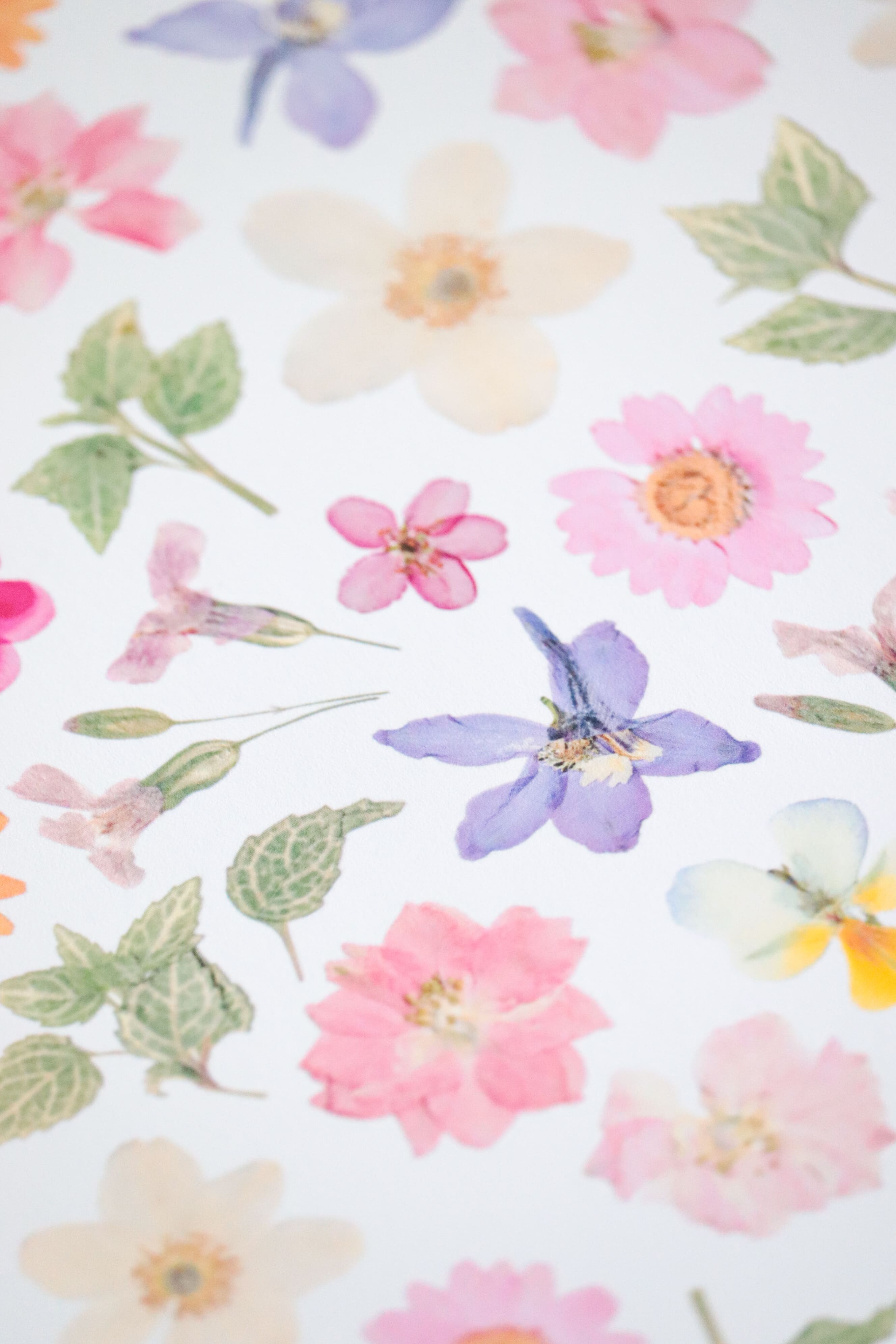 Affiche Herbier - Poème