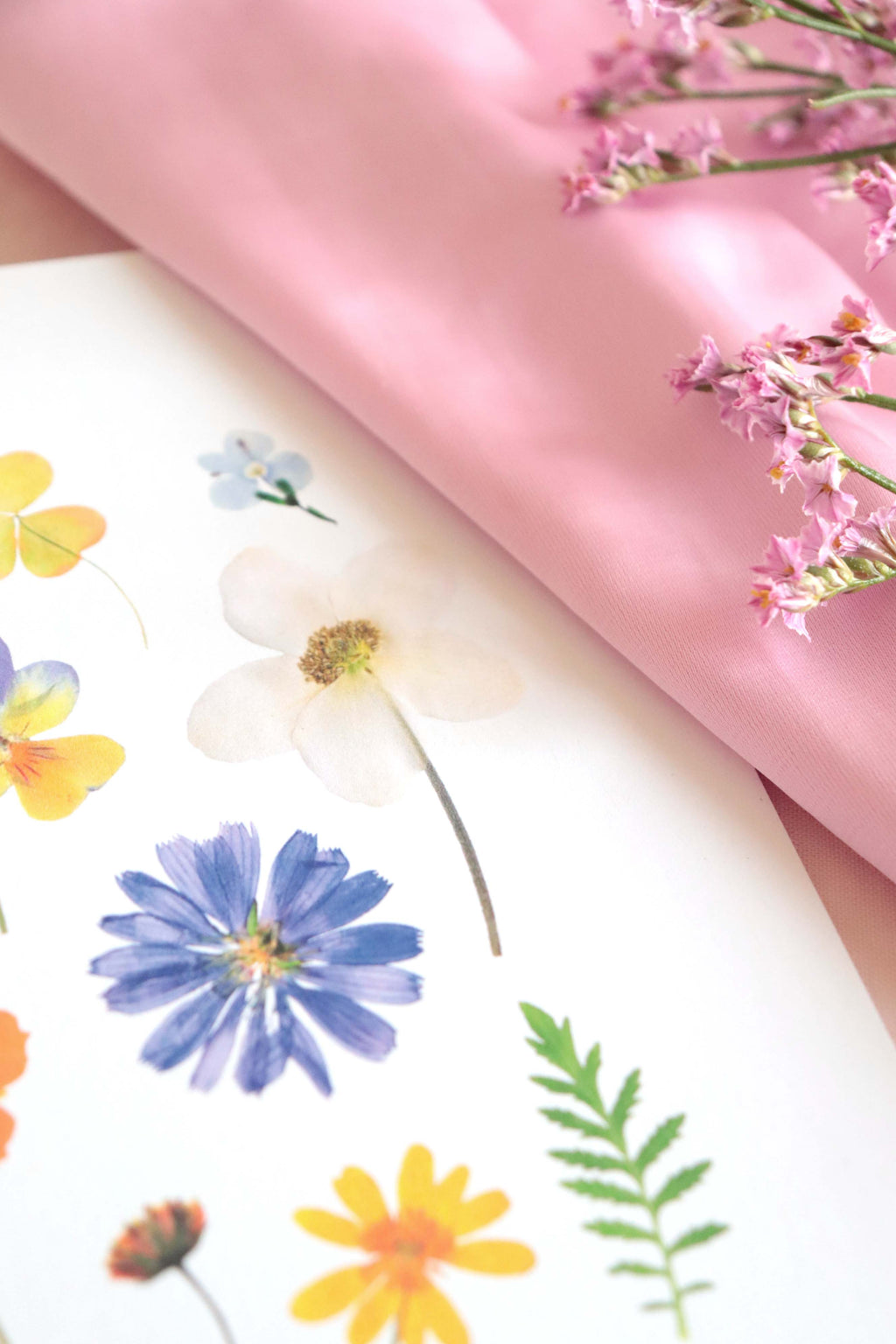 Affiche herbier - Prairie A4