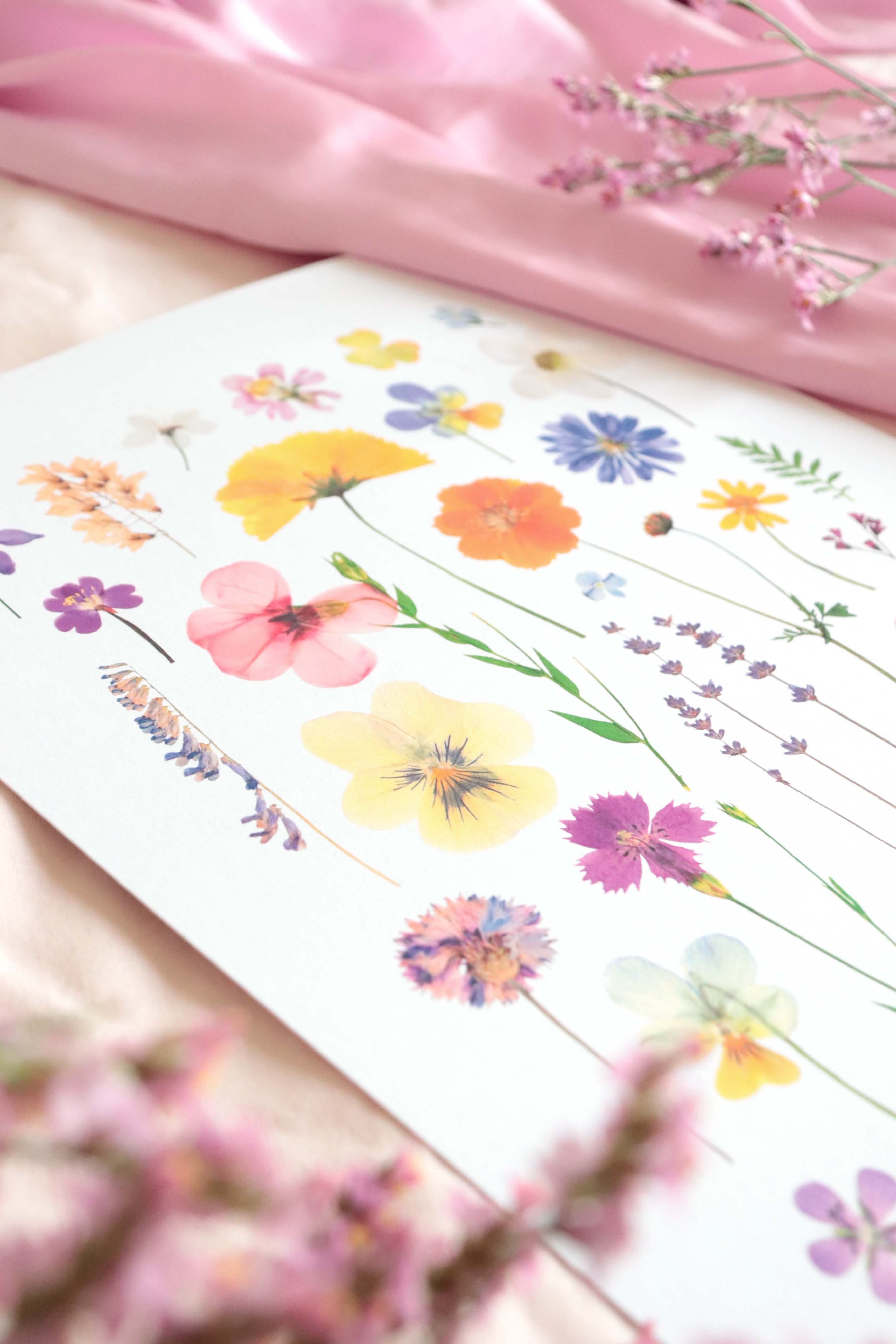 Affiche herbier - Prairie A4