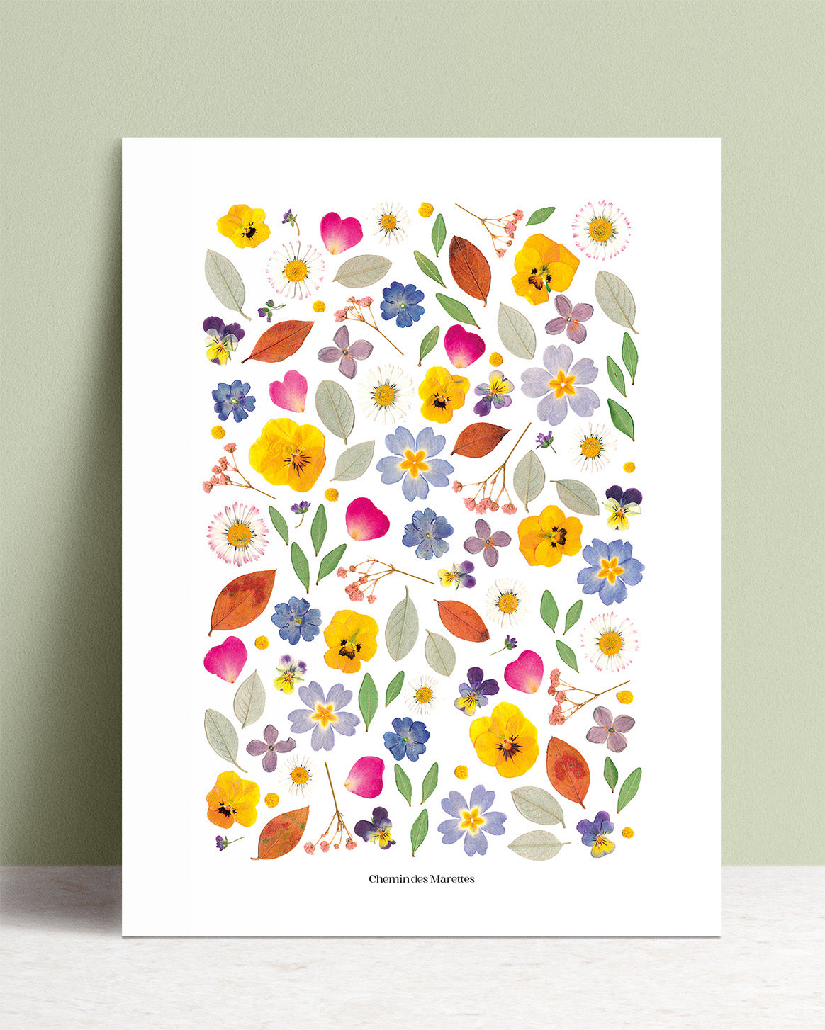 Affiche herbier - Souvenir A4