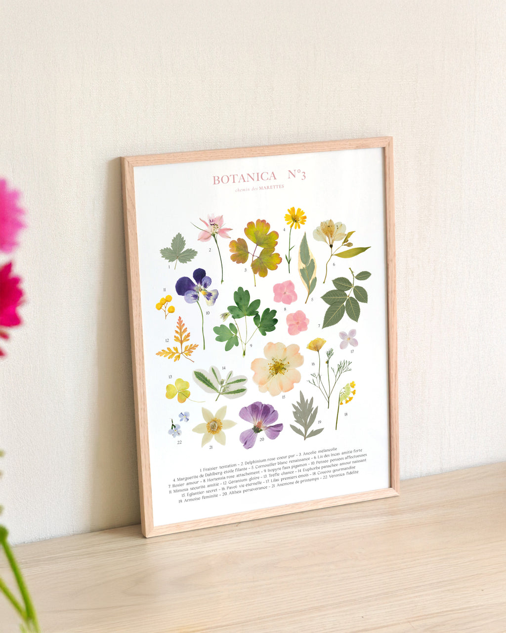 Affiche Herbier - Botanica n°3