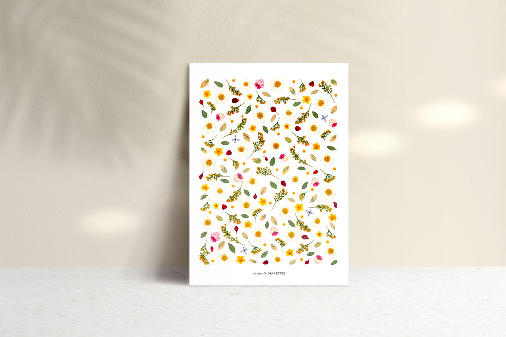 Affiche Herbier - Ensoleillée