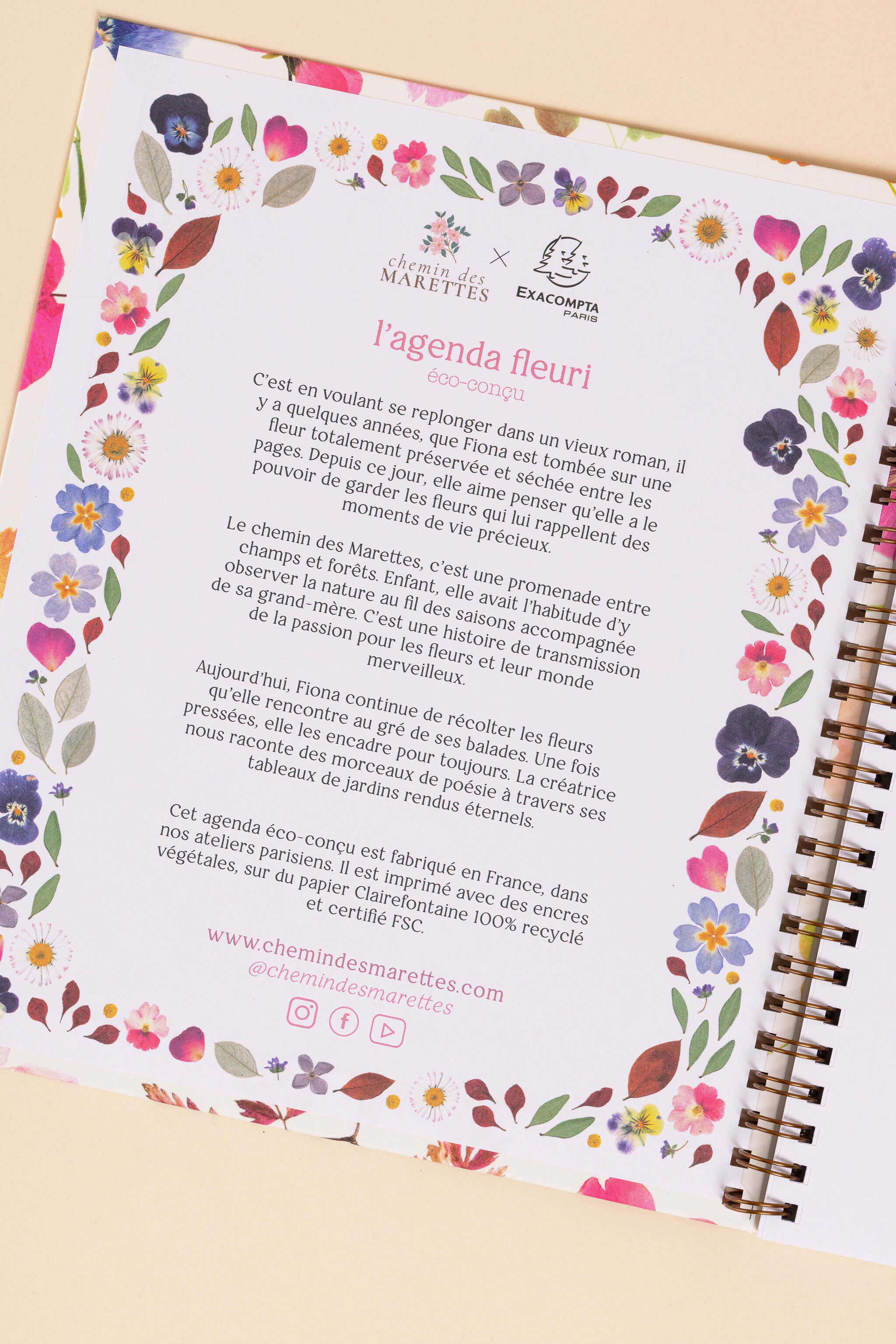 Agenda 2026 format bureau - rose