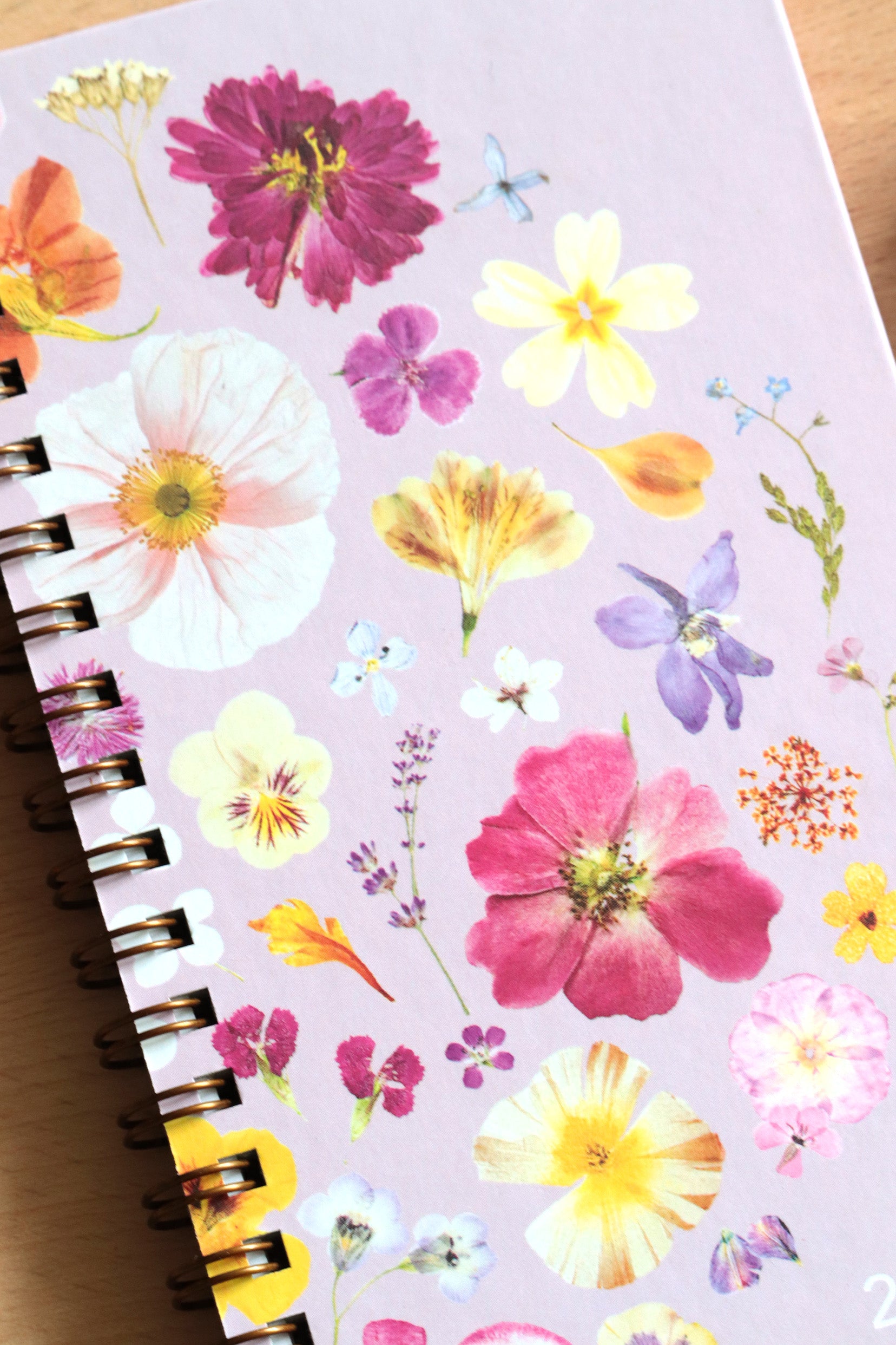 Pack Calendrier + Agenda