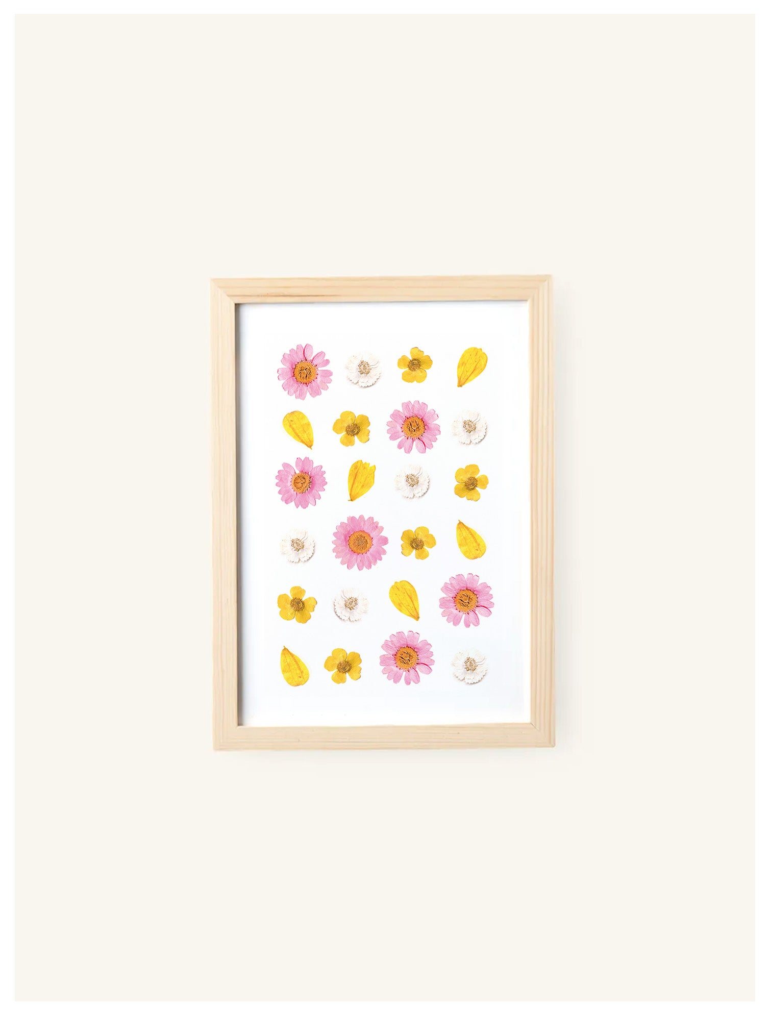 Kit DIY herbier - rose