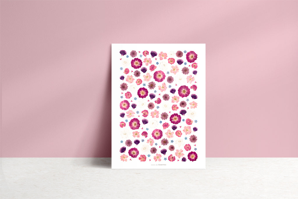 Affiche Herbier - Bisette