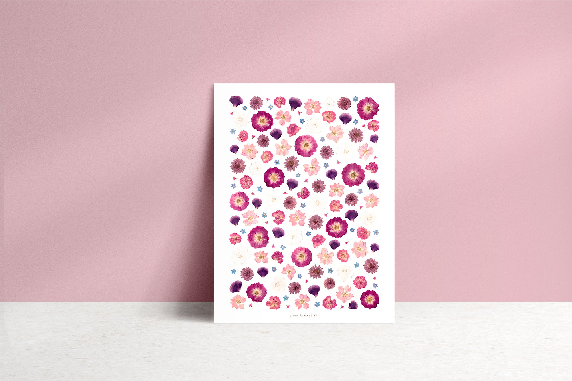 Affiche Herbier - Bisette