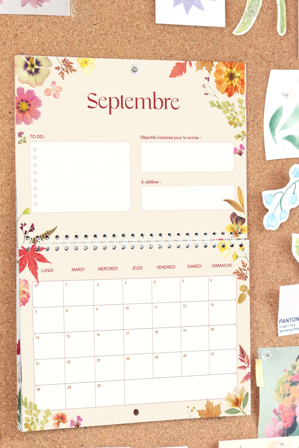 Pack Calendrier + Agenda