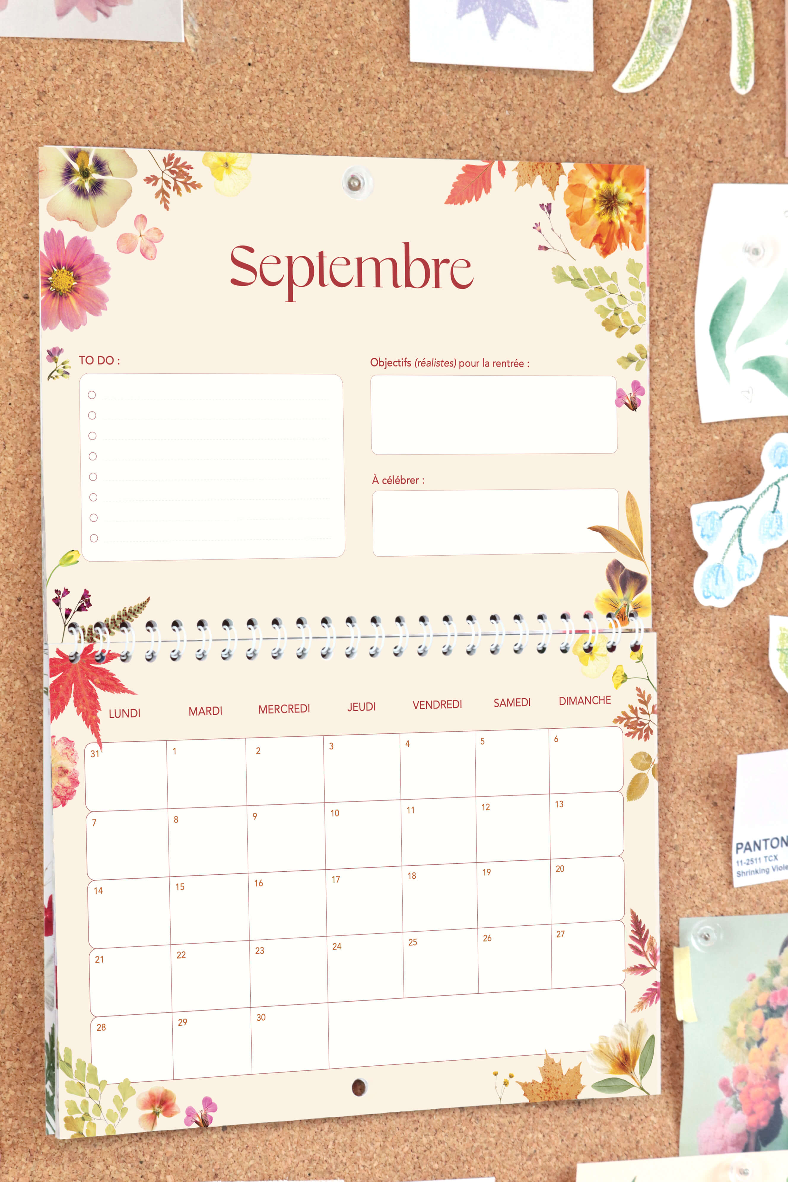 Pack Calendrier + Agenda