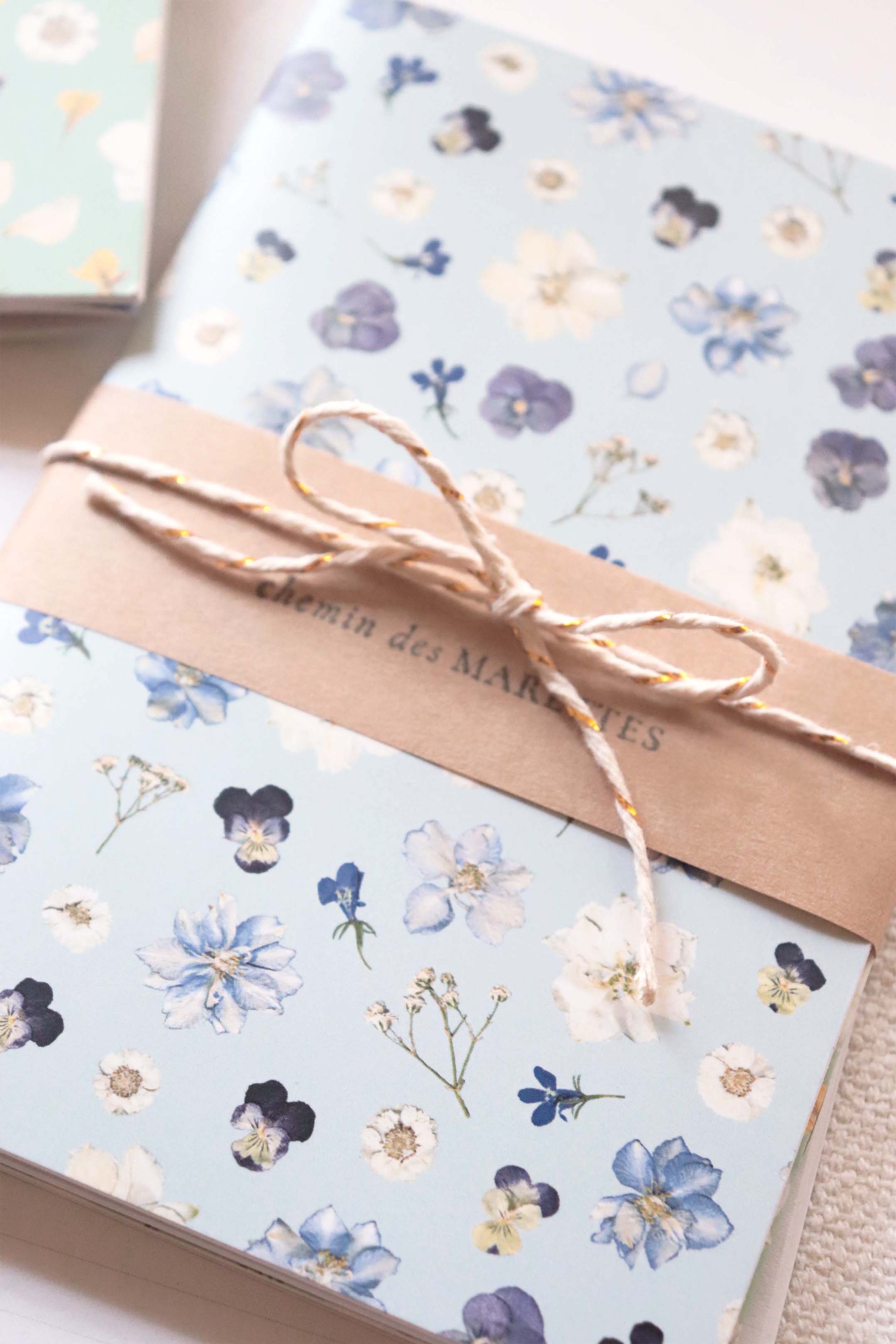 Lot 2 carnets Jardin - A6